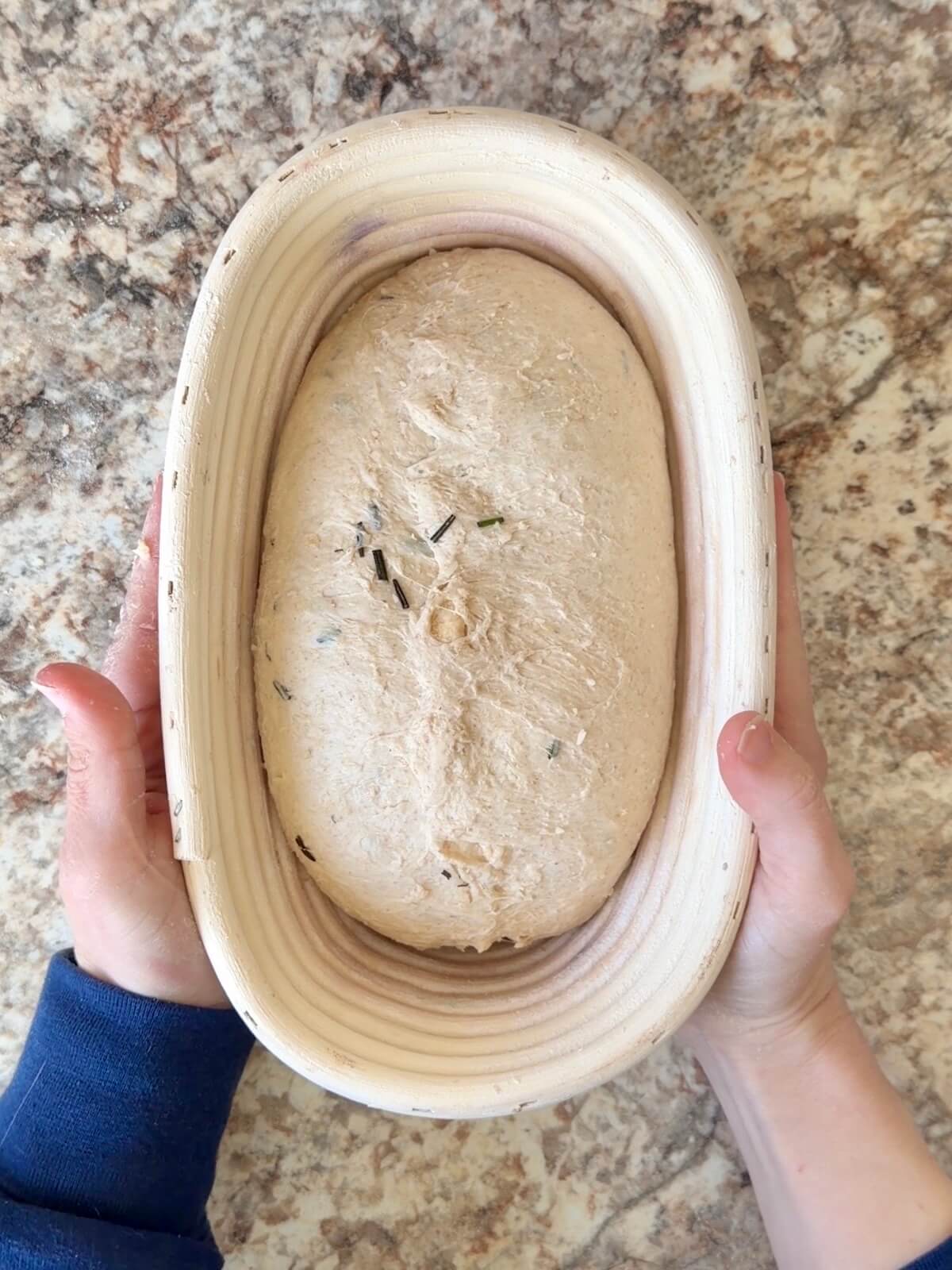 Parmesan rosemary sourdough bread dough in a proofing basket before cold proofing overnight.