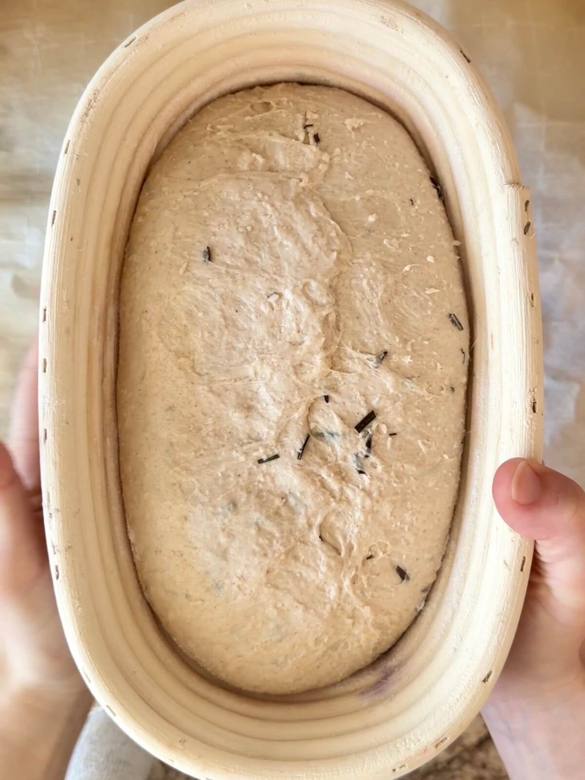 Parmesan rosemary sourdough bread dough in a proofing basket after cold proofing overnight.
