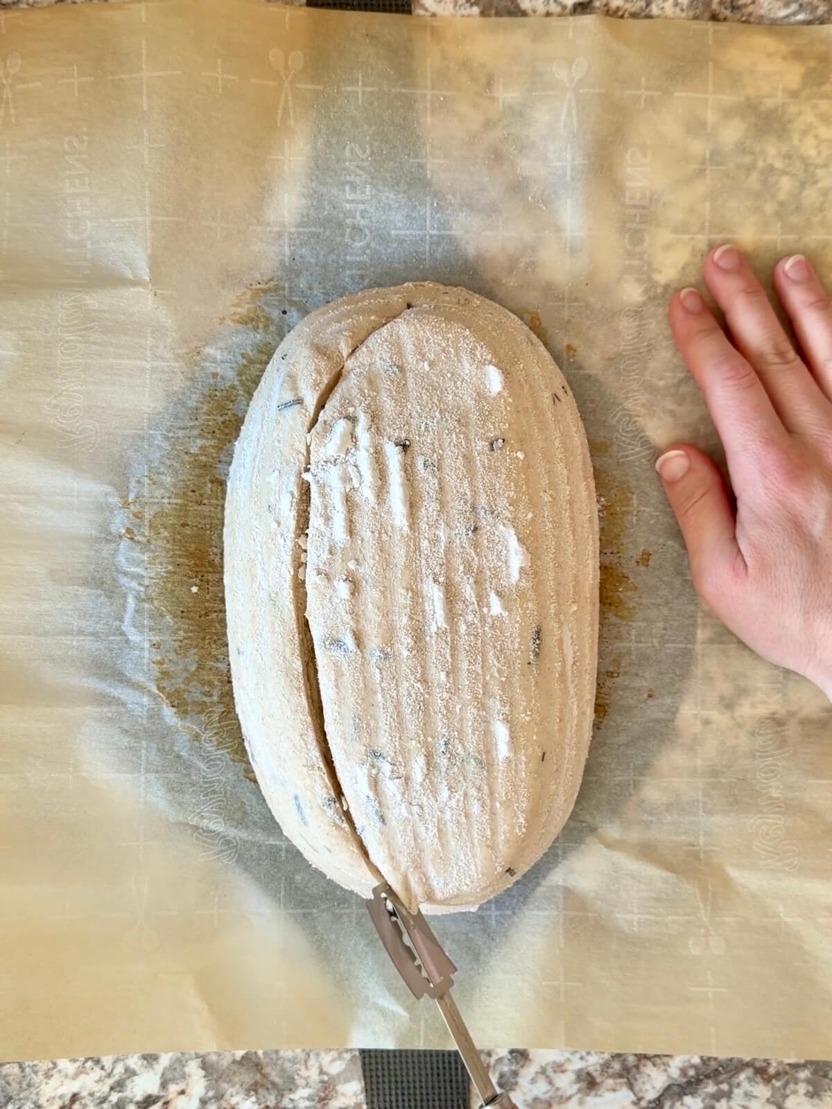 Parmesan rosemary sourdough bread dough being scored on a piece of parchment paper.