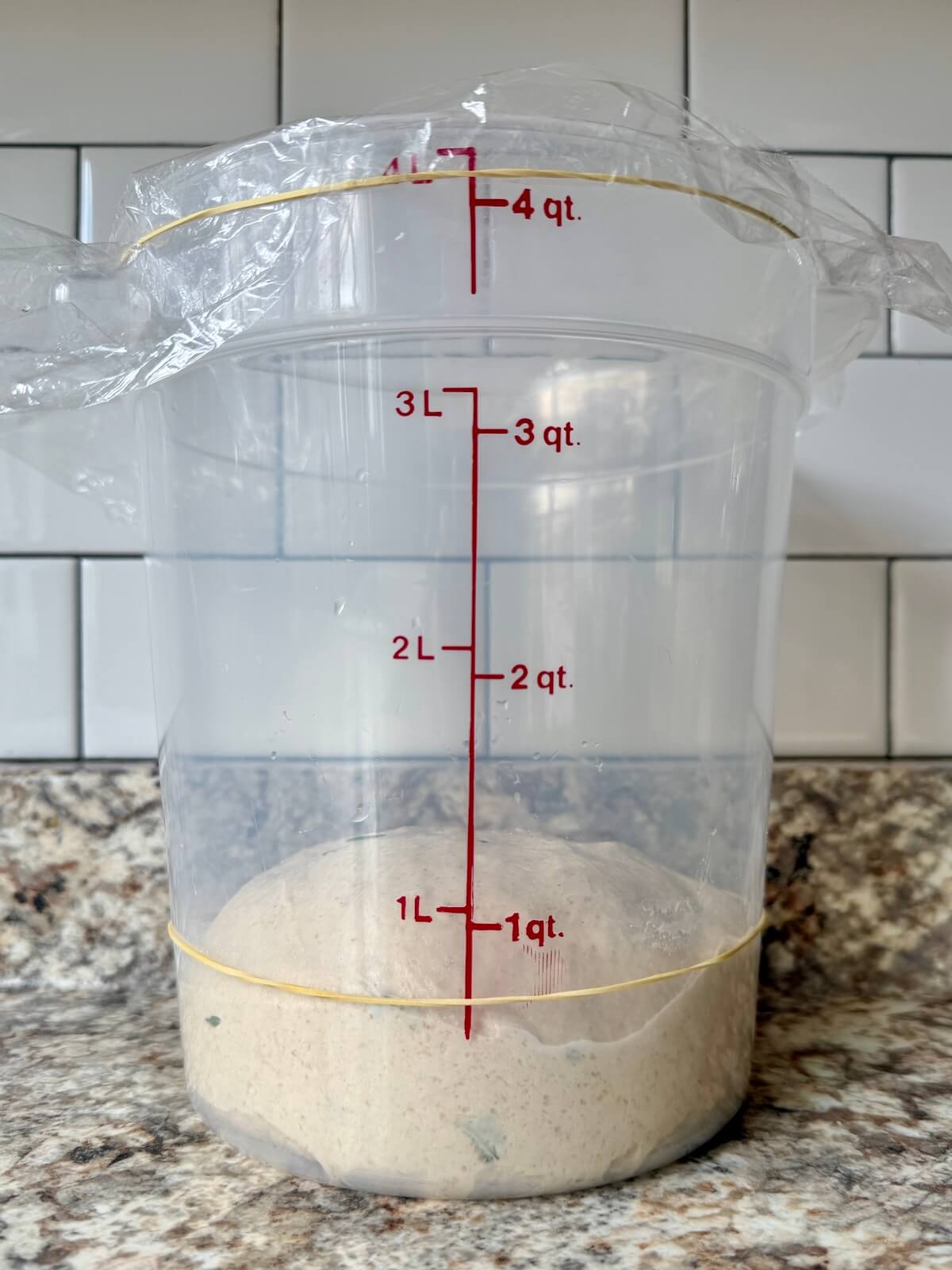 Rosemary parmesan sourdough bread dough in a straight-sided container before bulk fermentation.