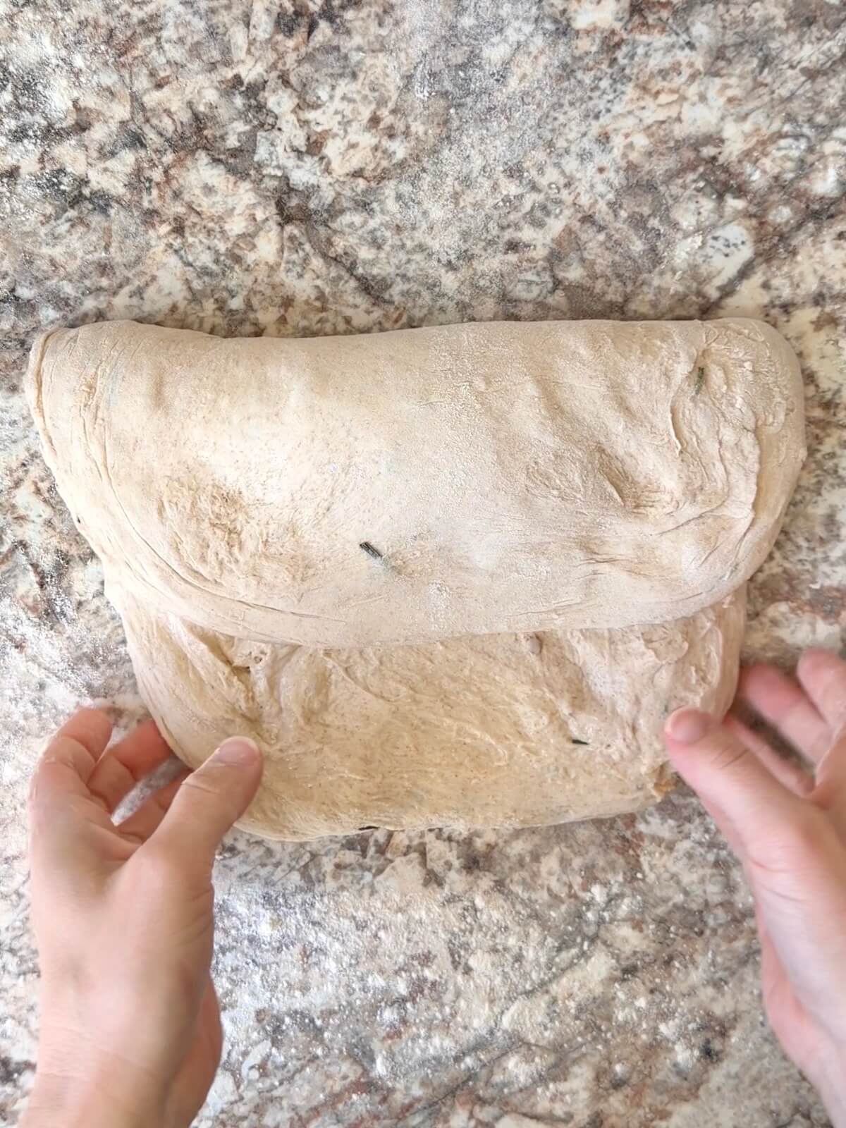 Fermented parmesan rosemary sourdough bread dough being shaped on a floured counter.