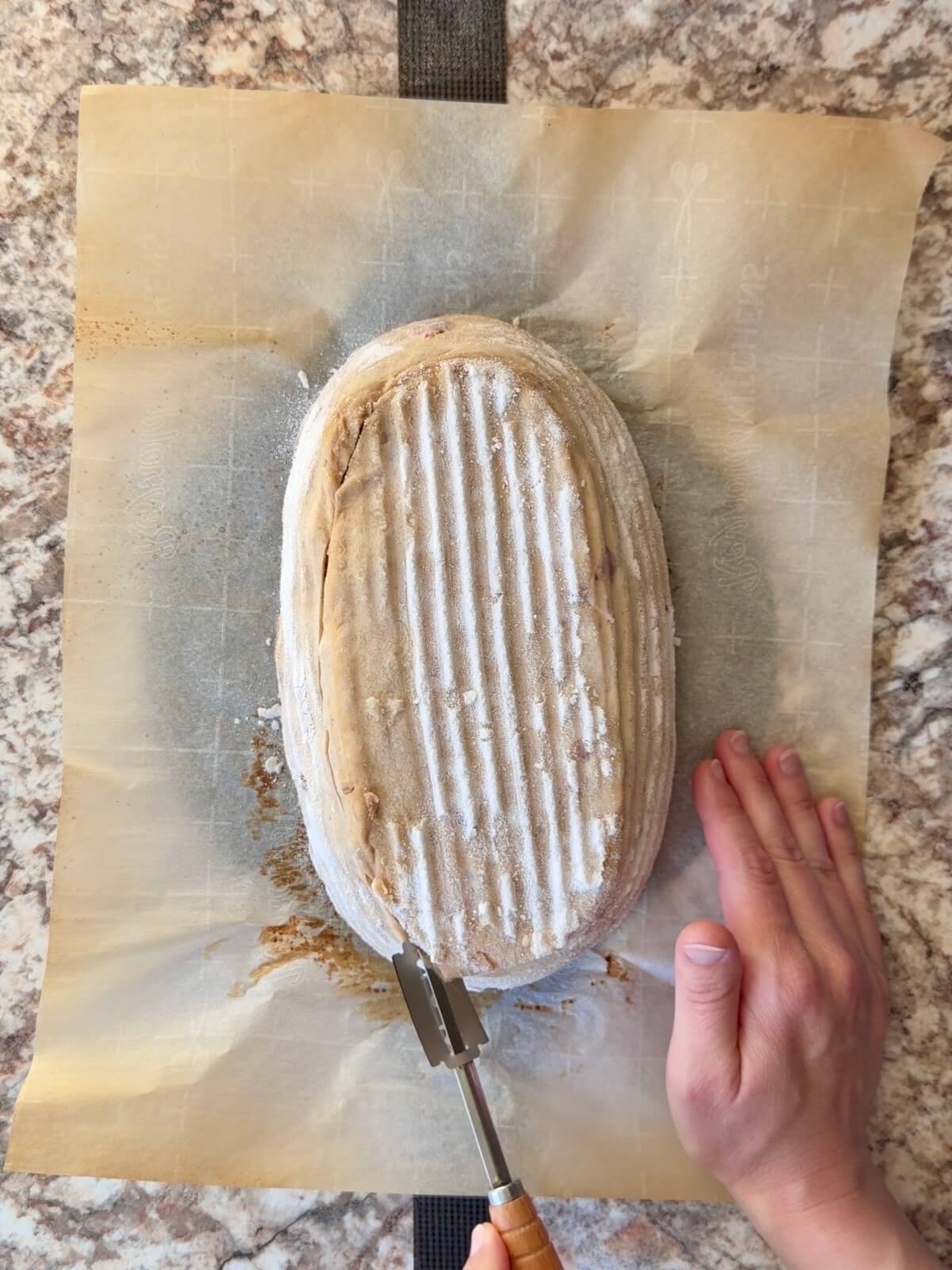 The proofed dough being scored on a piece of parchment paper.