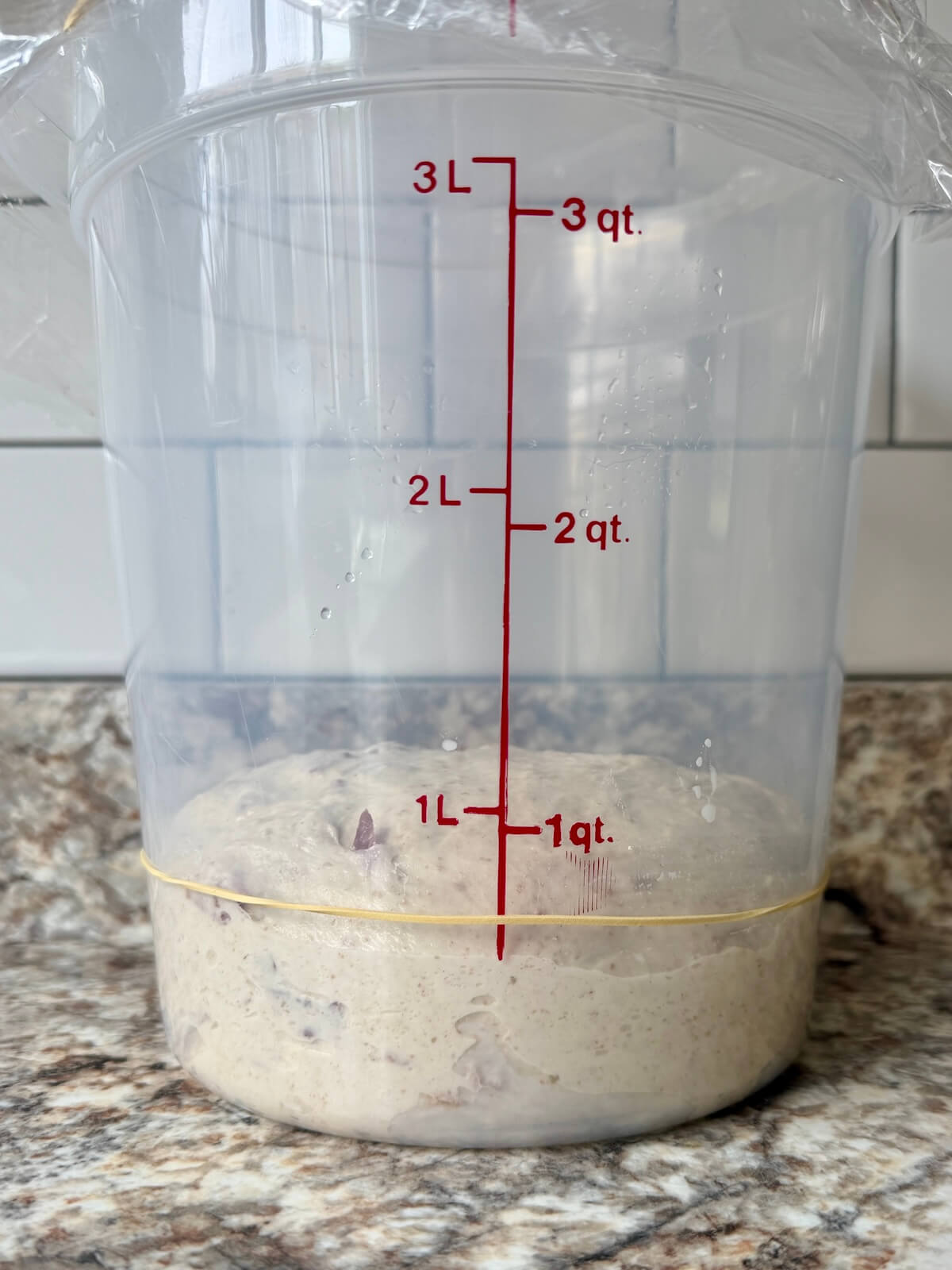 Smoky brown sugar bacon sourdough bread dough in a straight-sided container before bulk fermentation.