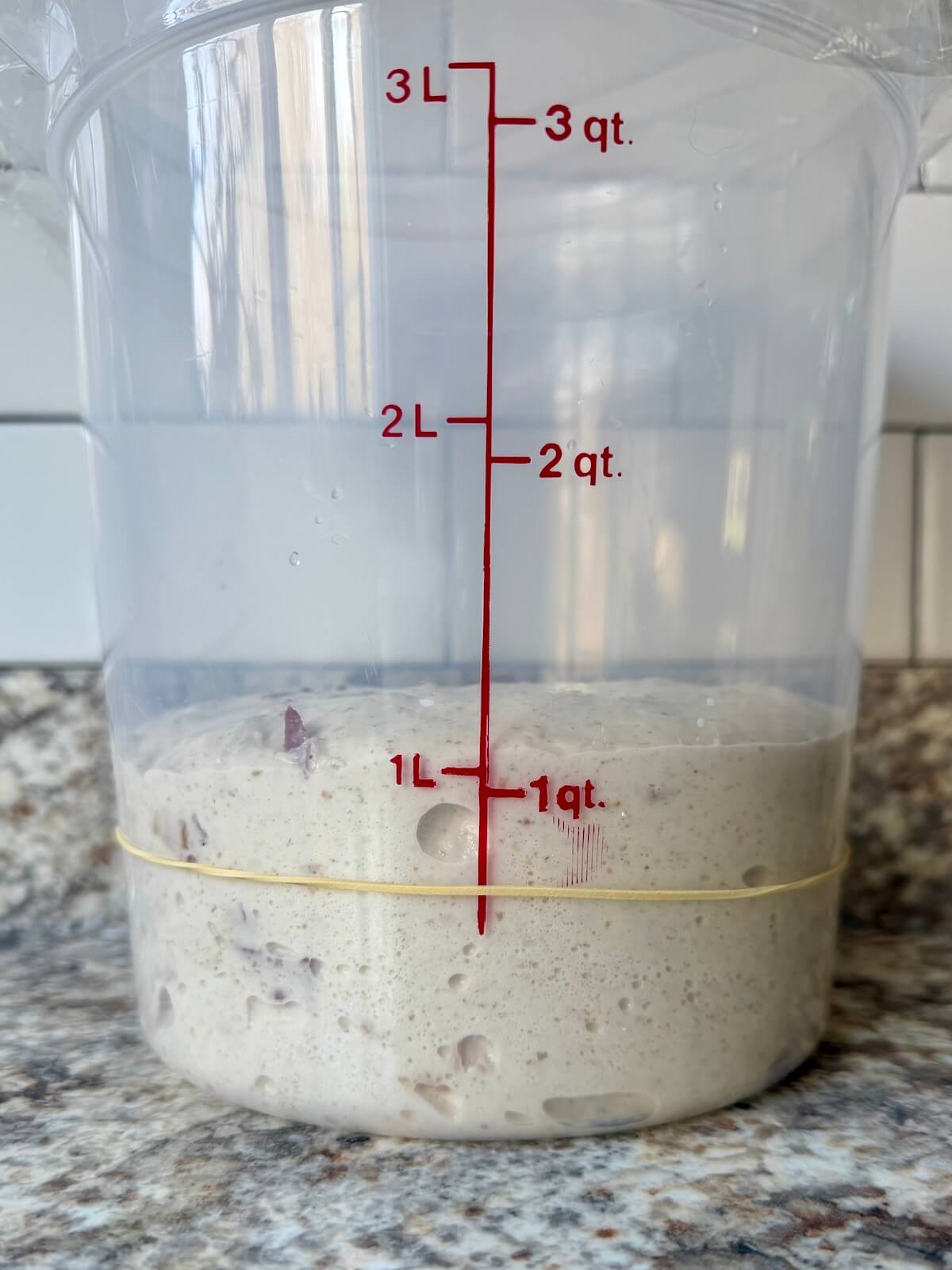 Smoky brown sugar bacon sourdough bread dough in a straight-sided container after bulk fermentation.