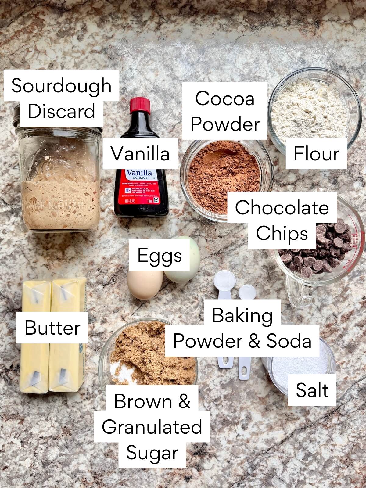 The ingredients to make sourdough brookies. Each ingredient is labeled with text. They include sourdough discard, vanilla, cocoa powder, flour, chocolate chips, eggs, butter, brown sugar, granulated sugar, baking powder, baking soda, and salt.
