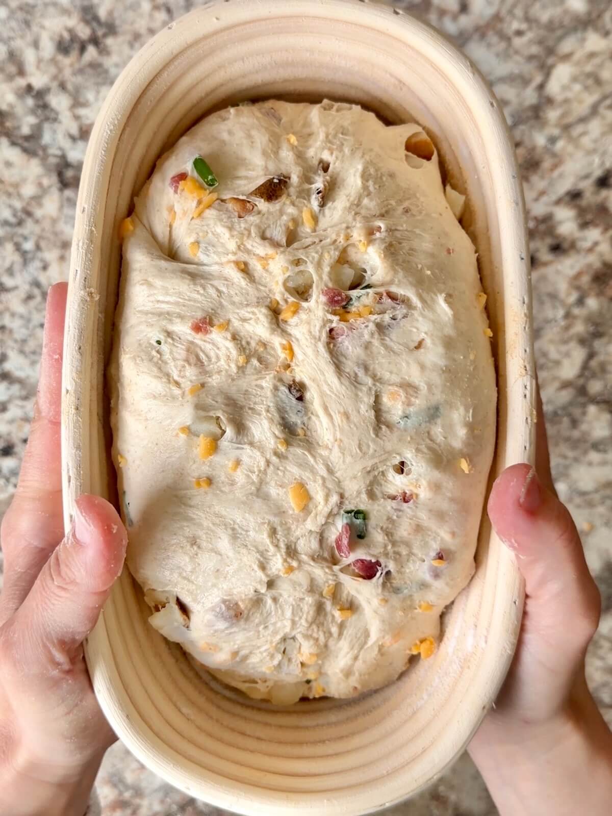 Loaded baked potato sourdough bread dough in an oval proofing basket before cold proofing overnight.
