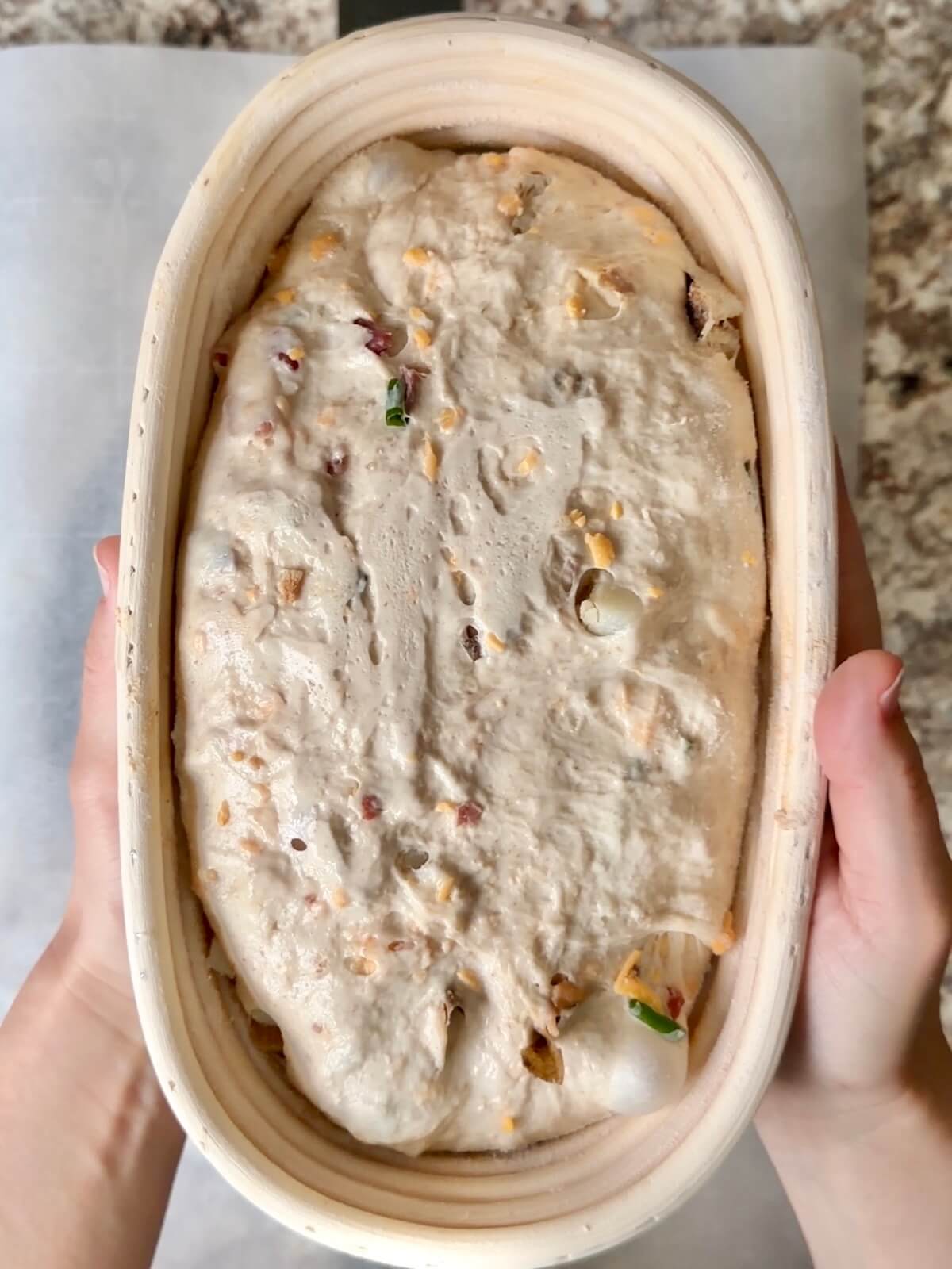 Loaded baked potato sourdough bread dough in an oval proofing basket after cold proofing overnight.