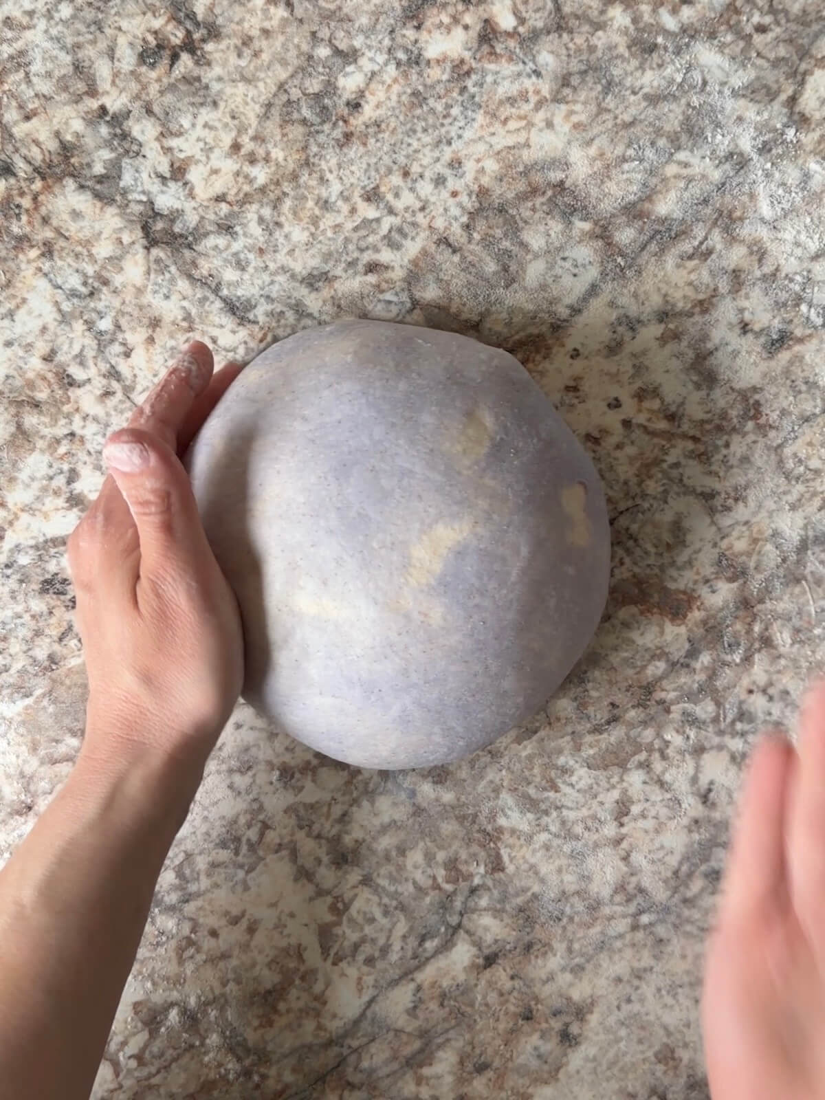 Two hands rounding the patriotic sourdough bread dough into a ball on a floured counter.