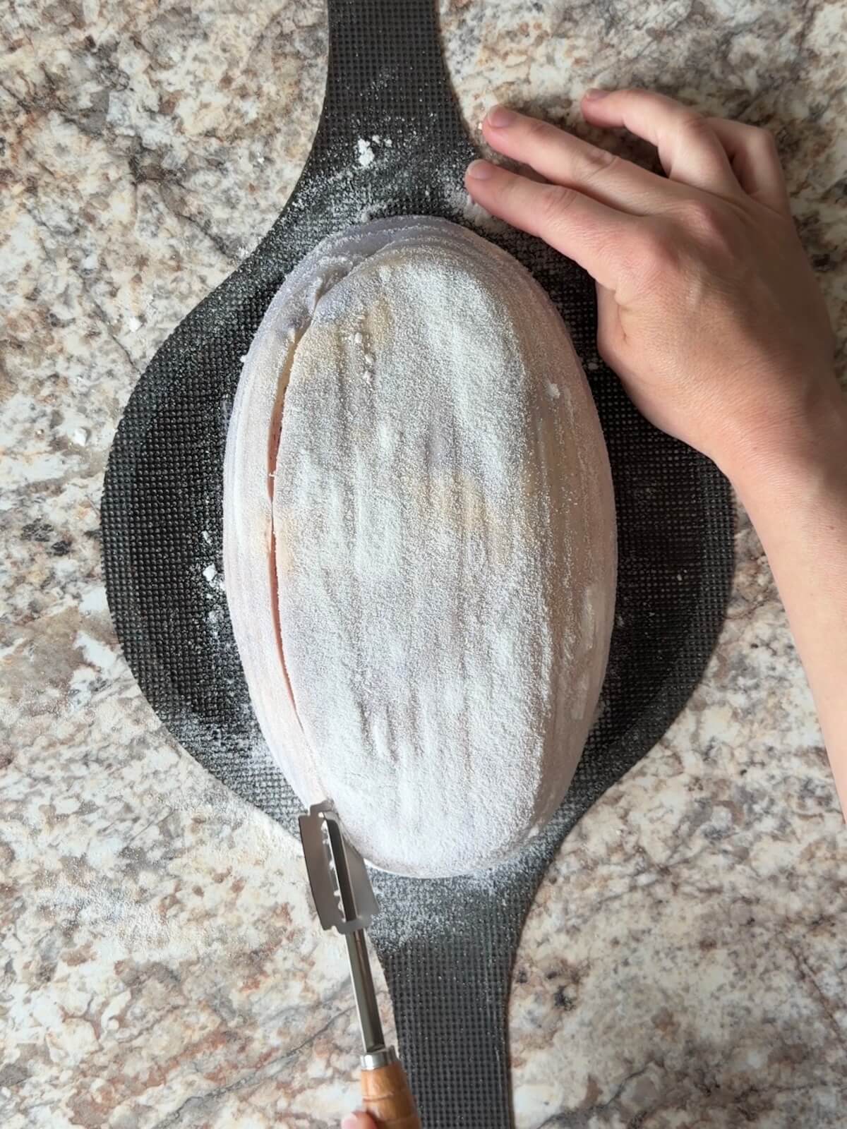 Red, white, and blue sourdough bread dough being scored on a bread sling.