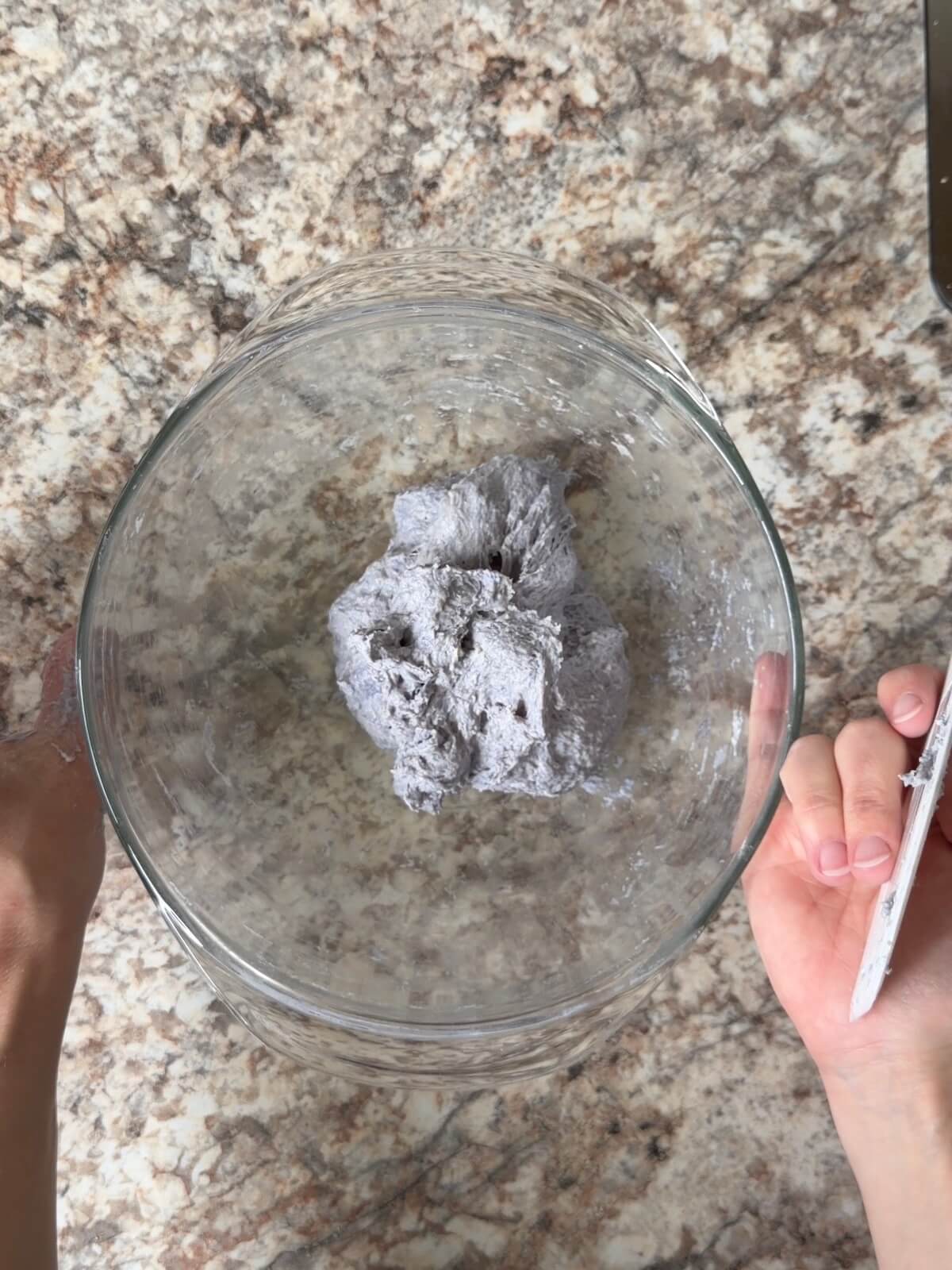 Blue sourdough bread dough made with butterfly pea flower powder.