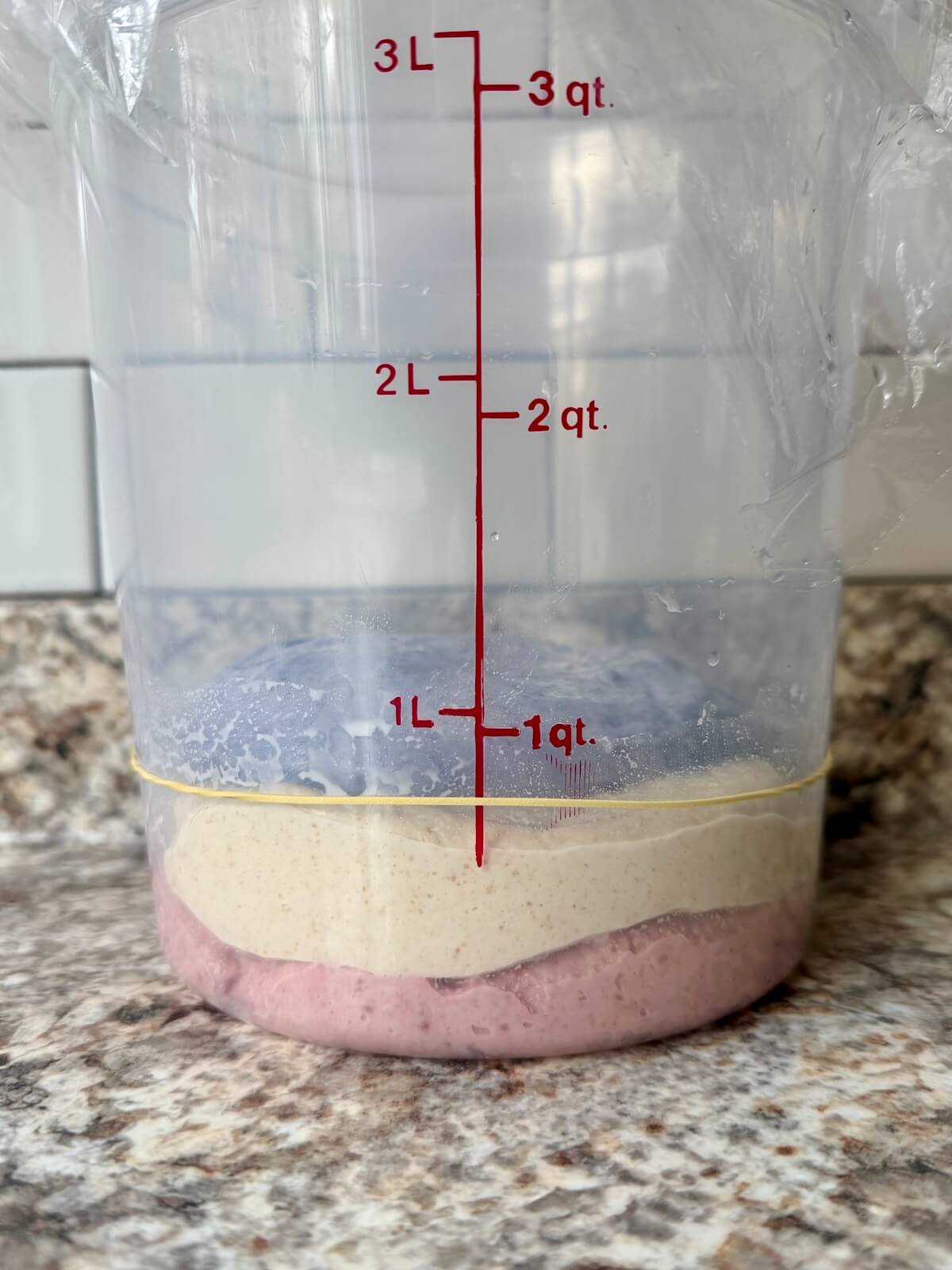 Red, white, and blue sourdough bread dough in a straight-sided container before bulk fermenting.