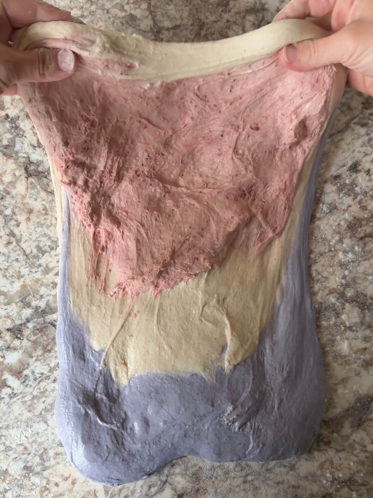 Patriotic sourdough bread dough being stretched into a rectangle.