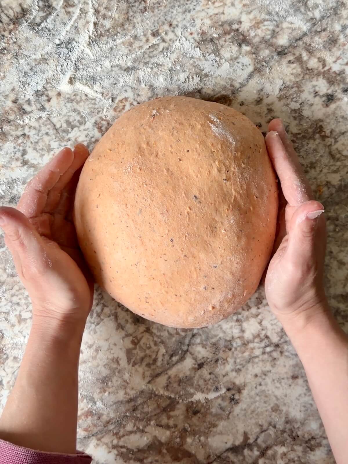 Two hands shaping tomato basil soup sourdough bread dough into a round ball on a floured counter.