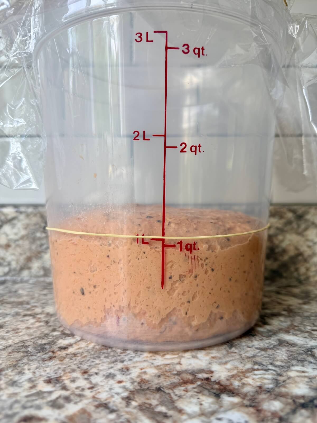 Tomato basil soup sourdough bread dough in a straight-sided container before bulk fermentation.