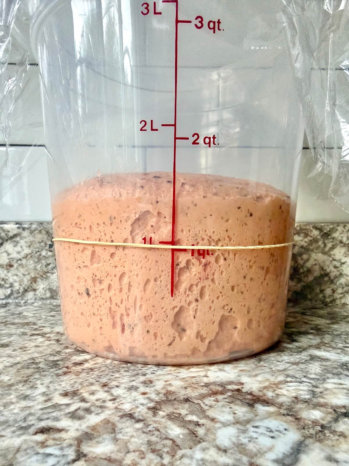Tomato basil soup sourdough bread dough in a straight-sided container after bulk fermentation.