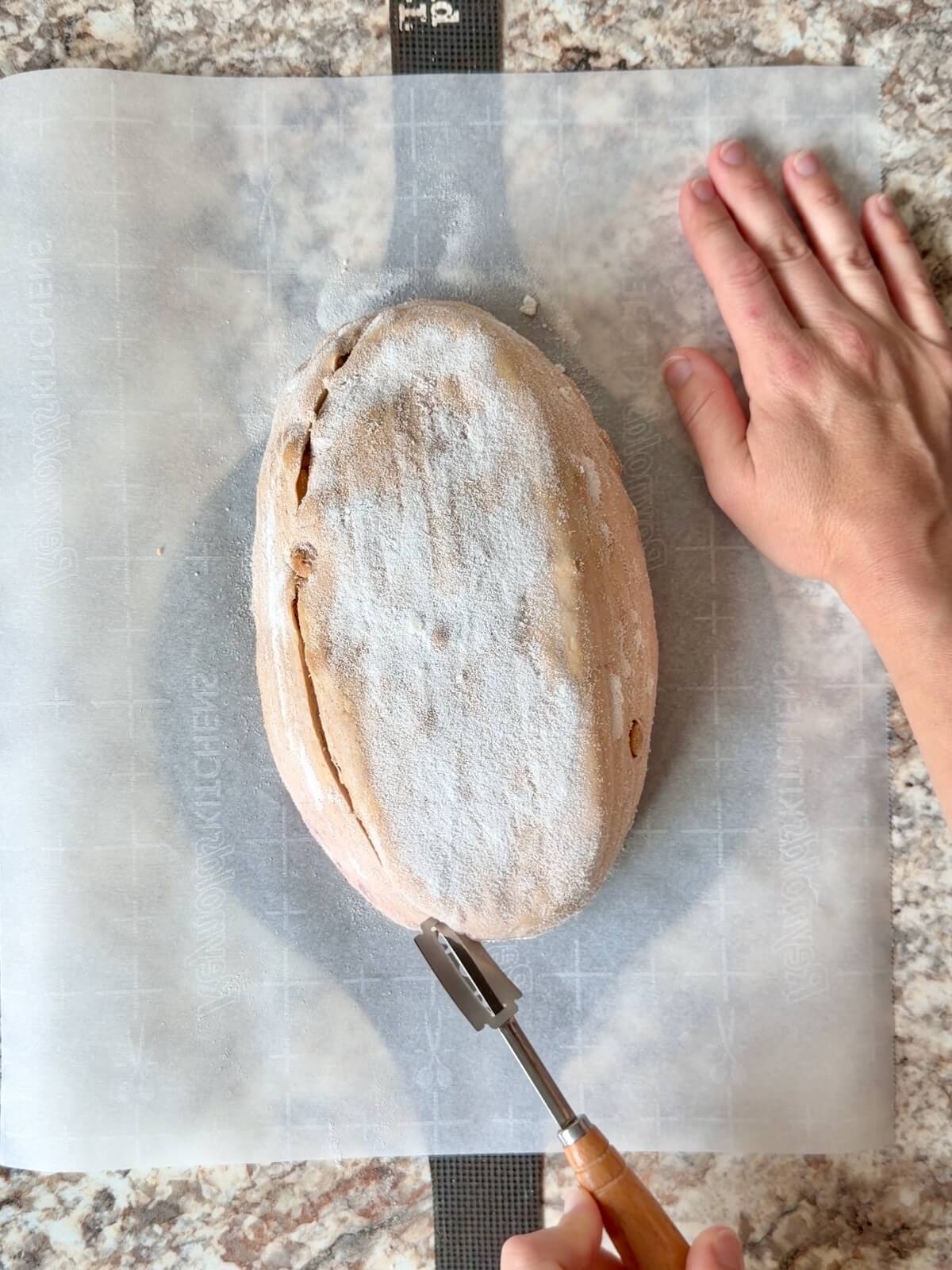 The dough being scored with a lame on a sheet of parchment paper.