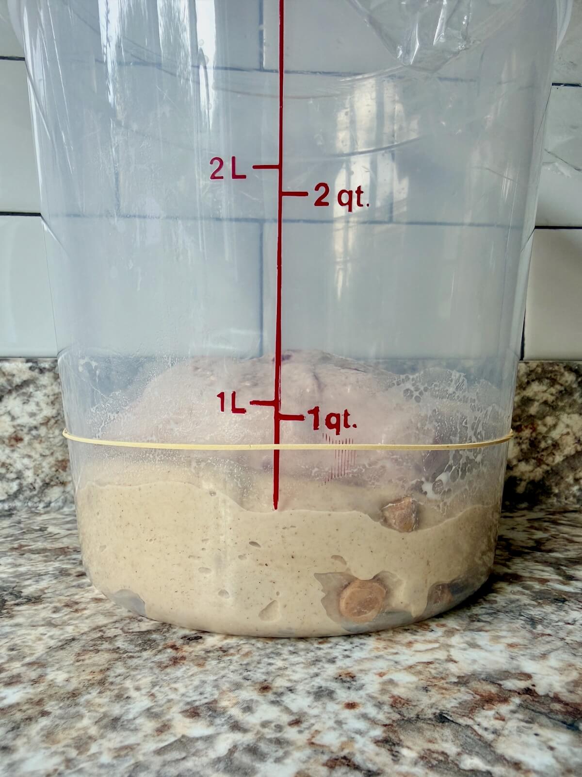 The peanut butter and the jelly dough stacked on top of each other in a straight-sided container before bulk fermentation.