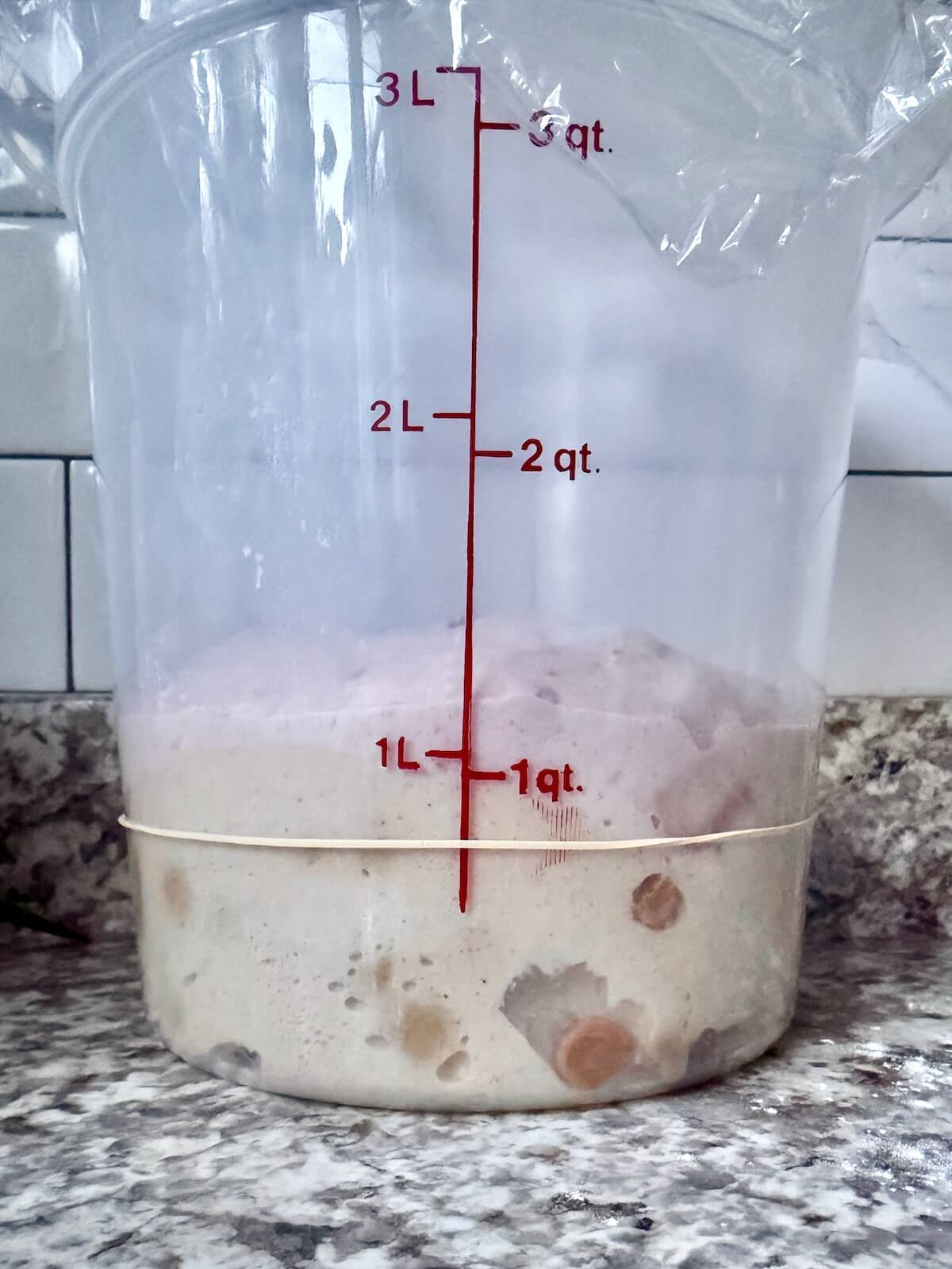 The dough in a straight-sided container after bulk fermentation.