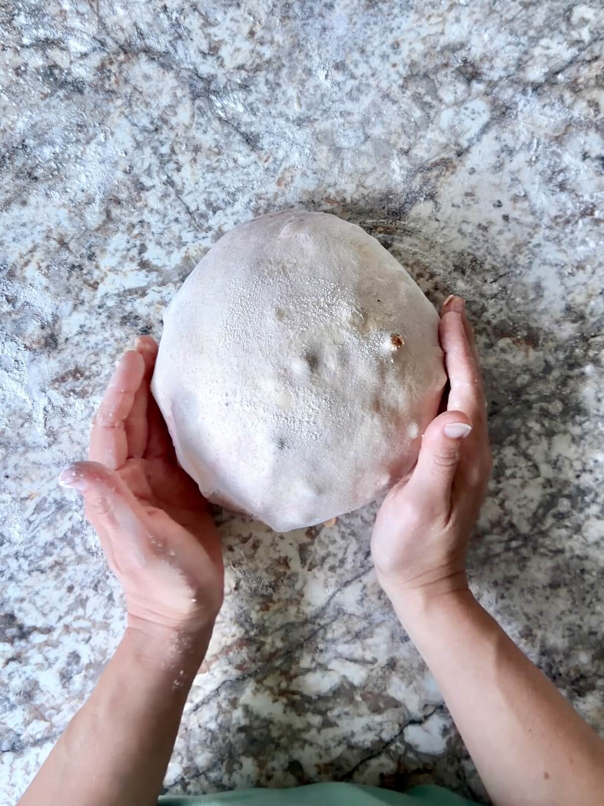 The dough shaped into a taut ball on a lightly floured counter.