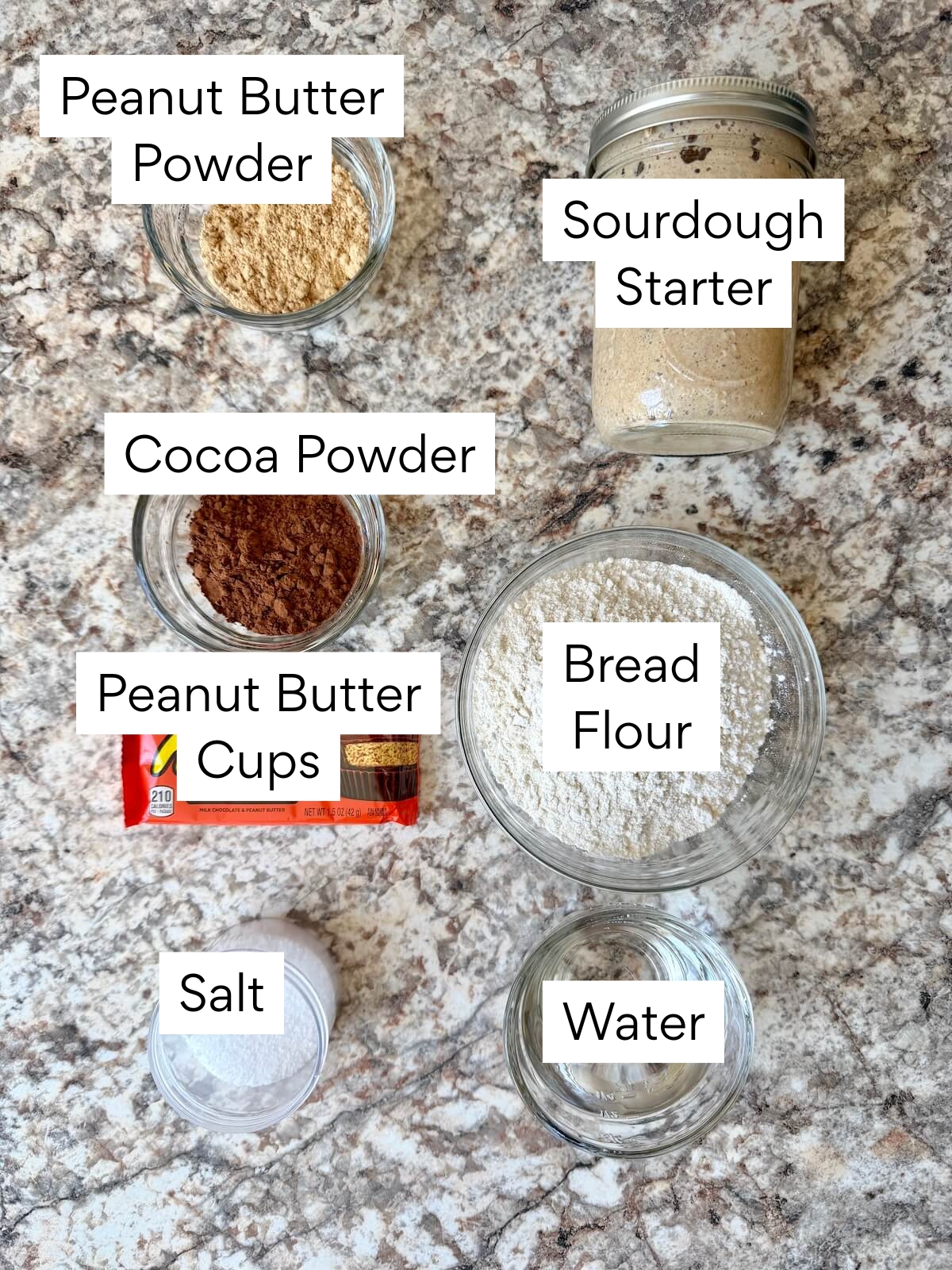 The ingredients to make chocolate peanut butter sourdough bread. Each ingredient is labeled with text. They include peanut butter powder, cocoa powder, peanut butter cups, salt, sourdough starter, bread flour, and water.