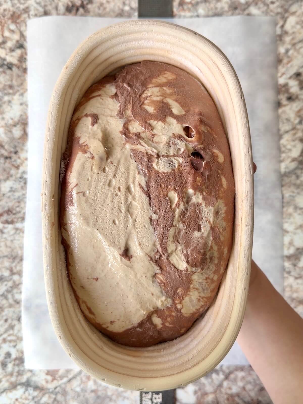 Peanut butter cup sourdough bread in an oval proofing basket after cold proofing overnight.