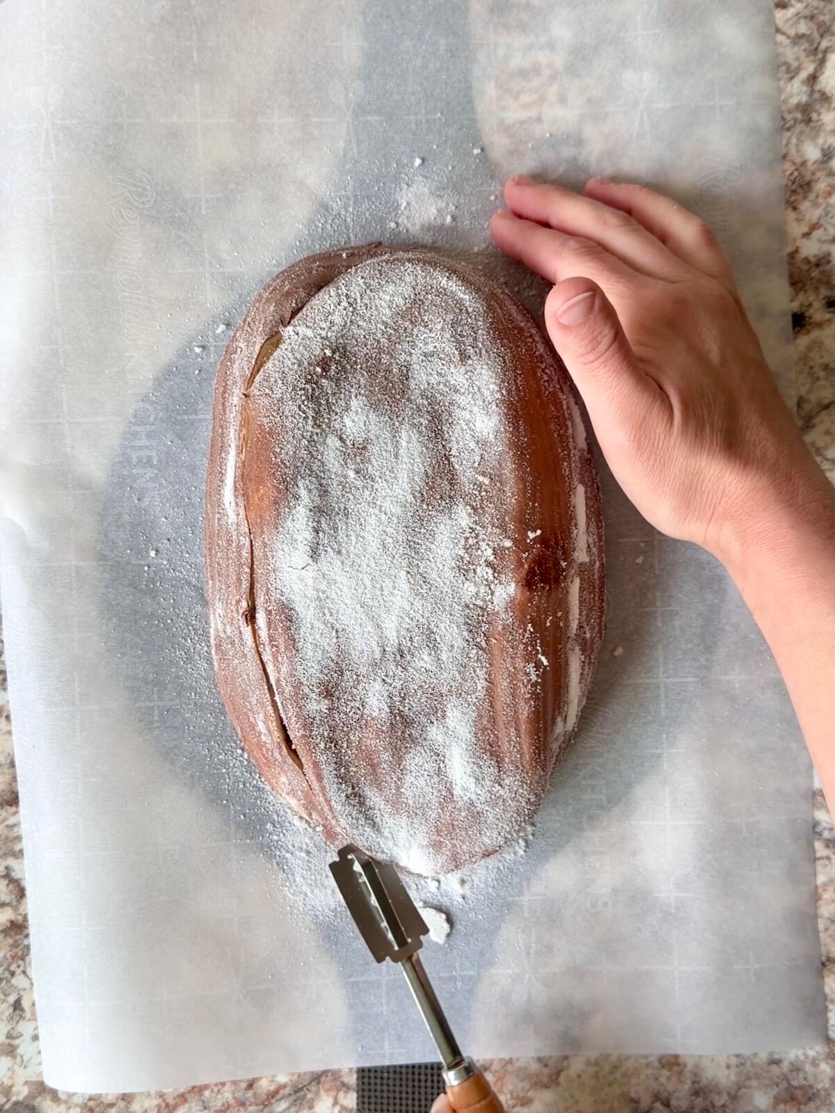 A loaf of chocolate peanut butter swirl sourdough bread being scored on a sheet of parchment paper.
