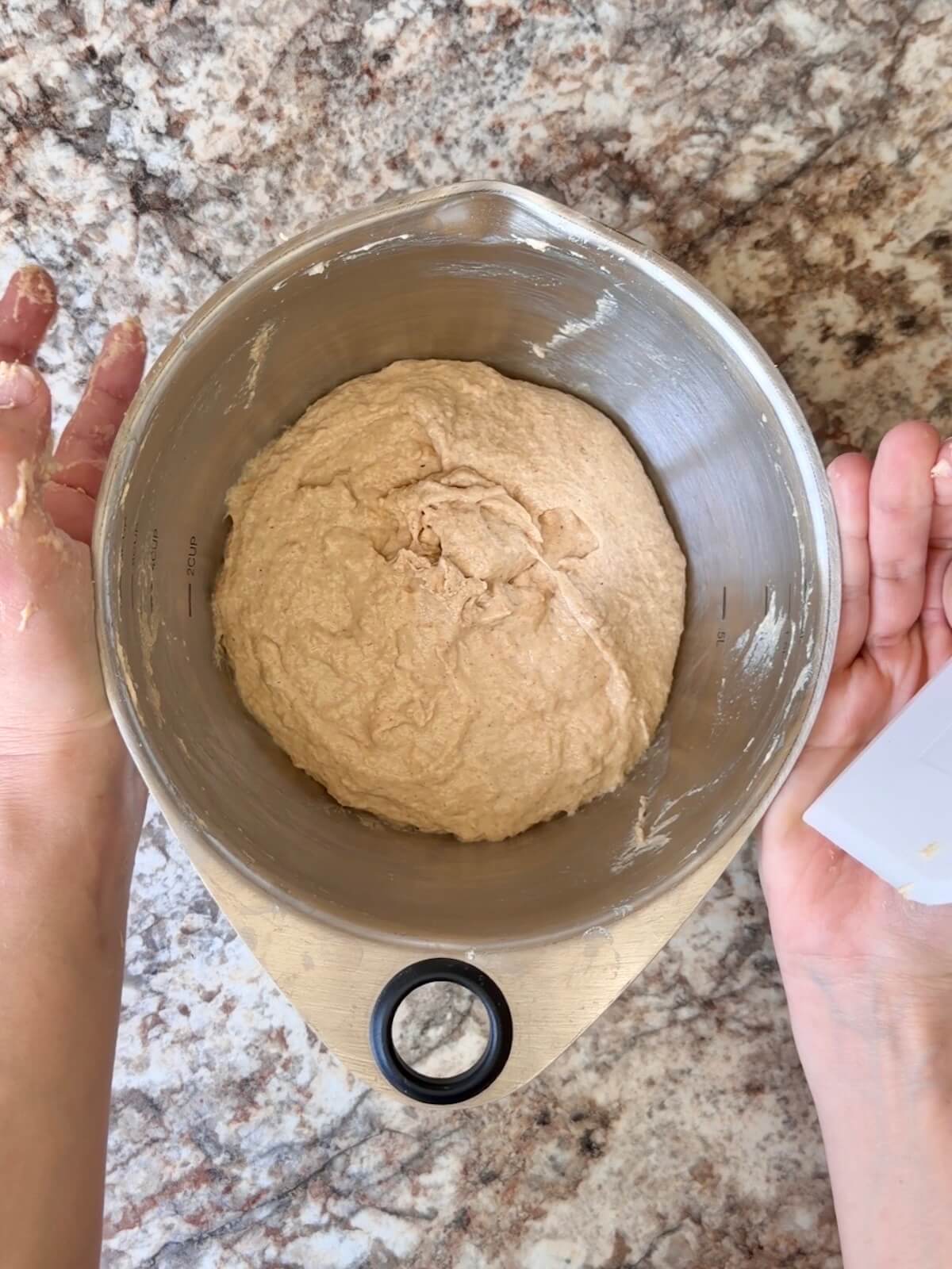 Sourdough bread dough mixed with peanut butter powder in a mixing bowl.