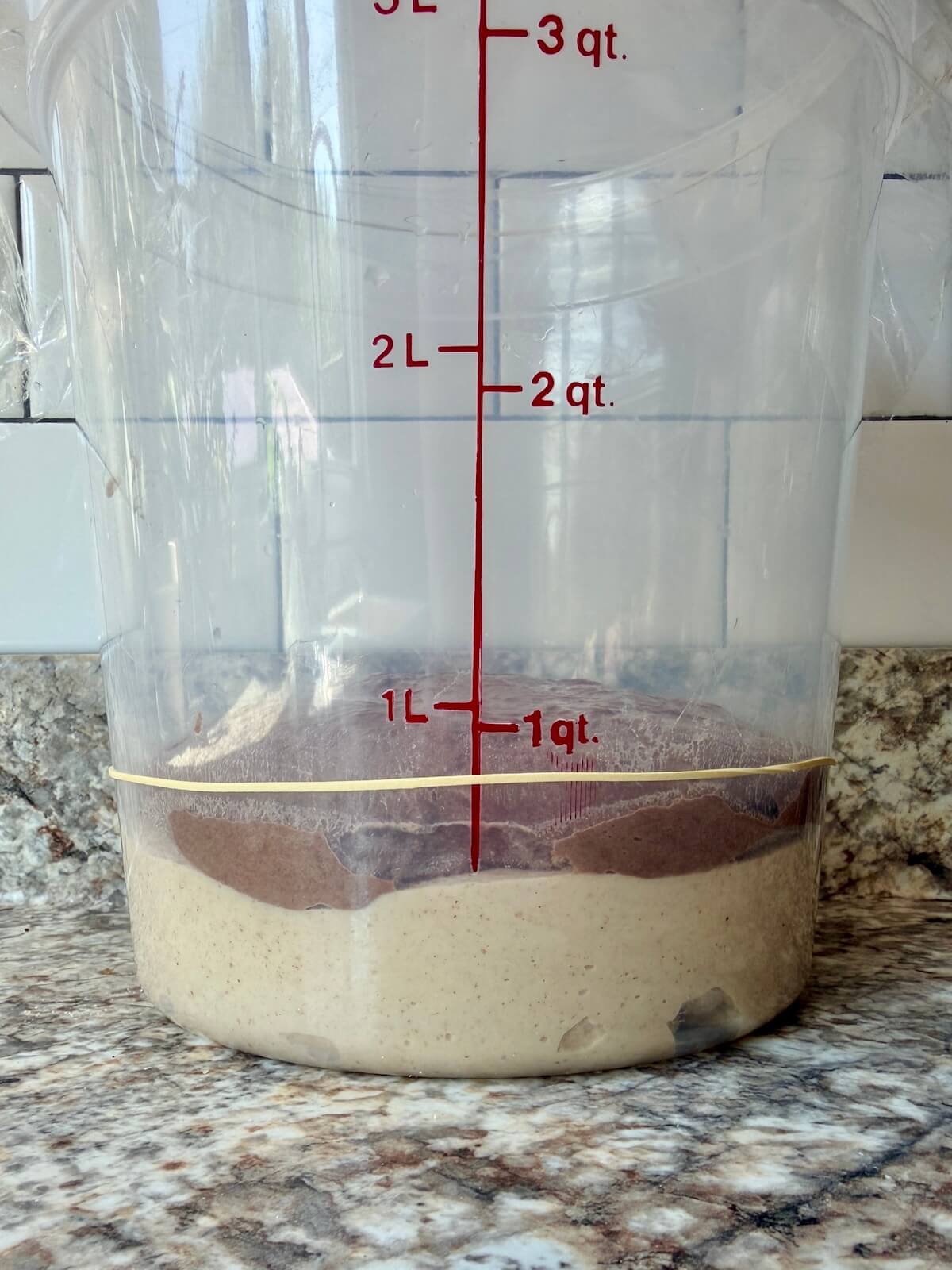 Chocolate peanut butter sourdough bread dough in a straight-sided container before bulk fermentation.