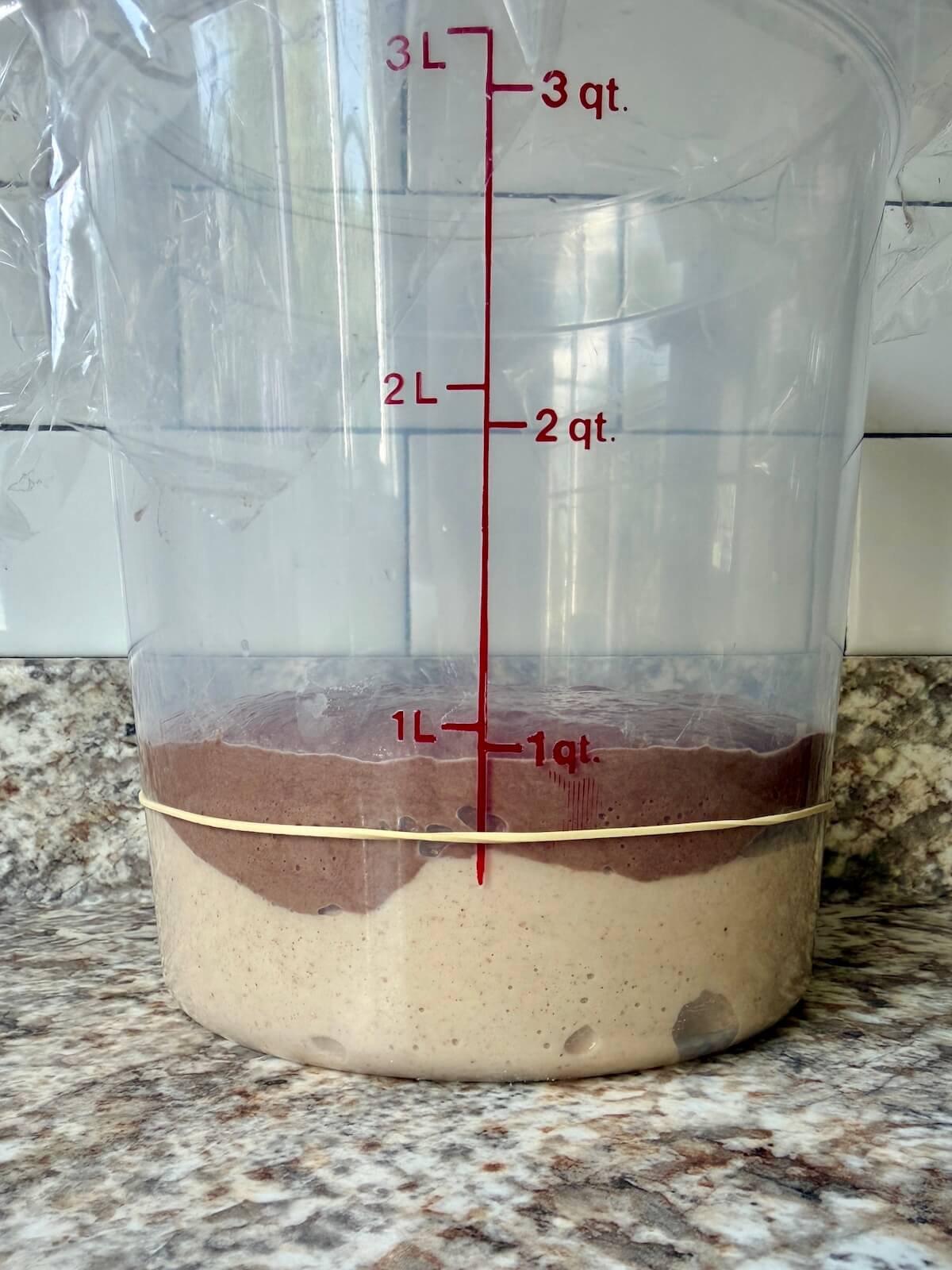 Chocolate peanut butter sourdough bread dough in a straight-sided container after bulk fermentation.
