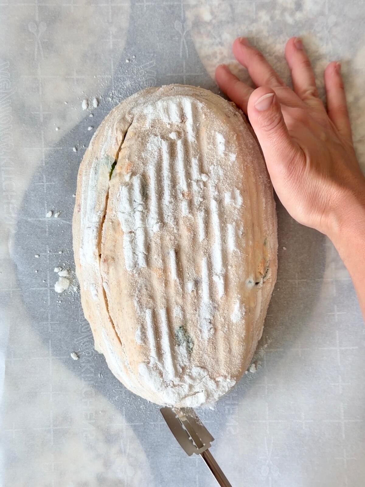 JalapeƱo popper sourdough bread dough being scored with a lame on a piece of parchment paper.