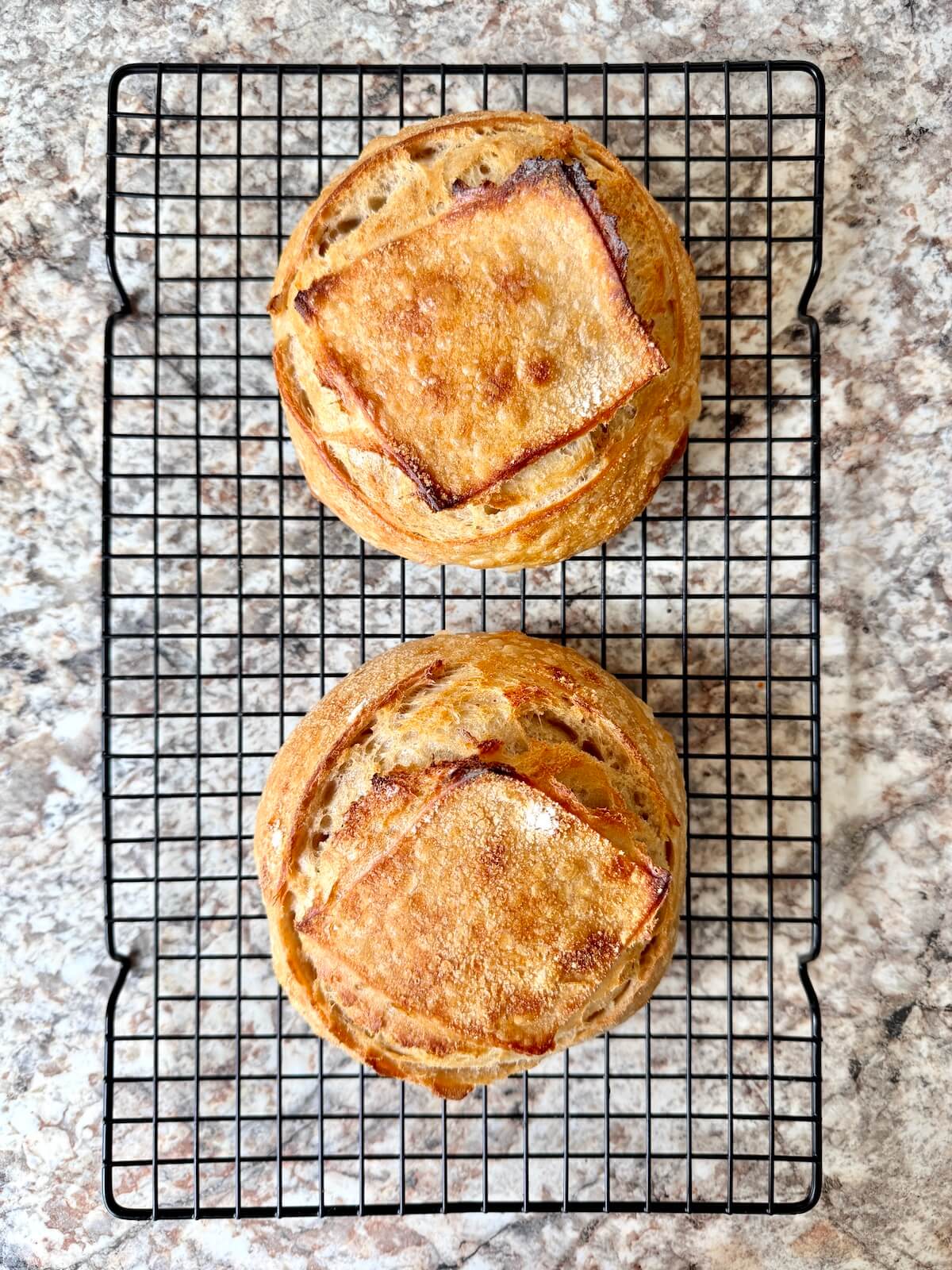Two baked sourdough bread bowls on a wire cooling rack.