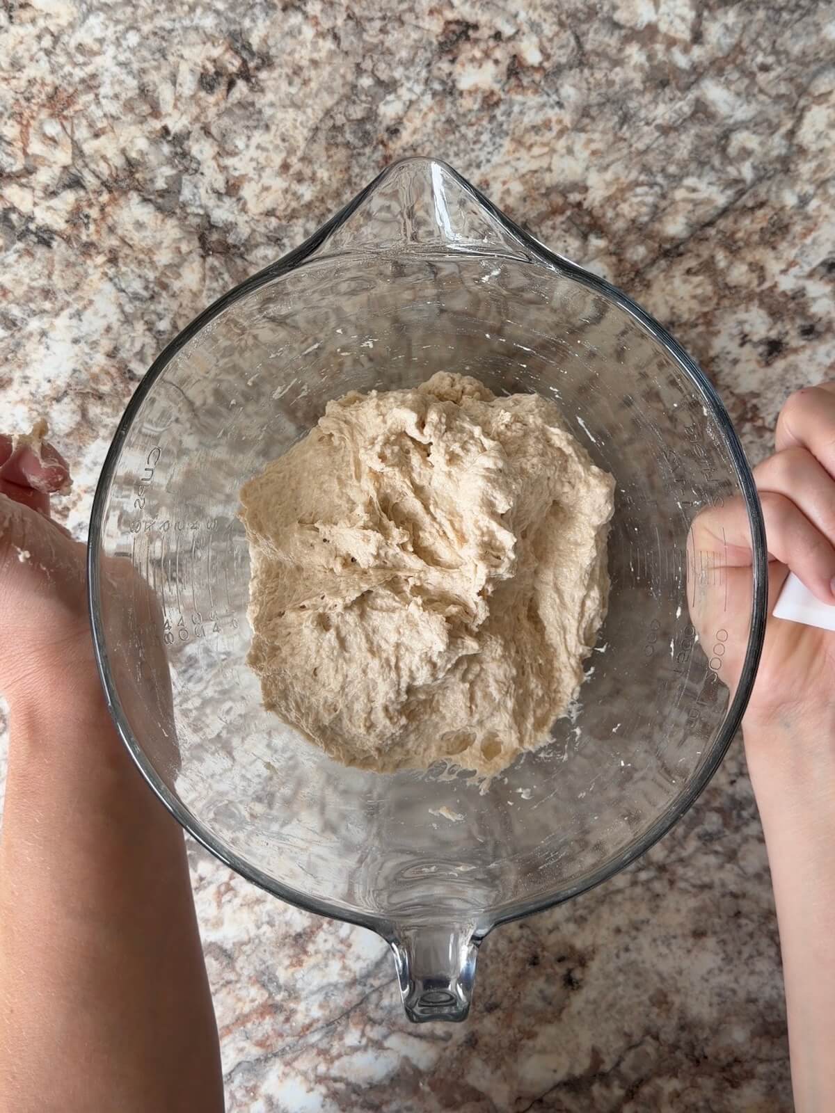 Sourdough bread dough mixed together in a bowl.
