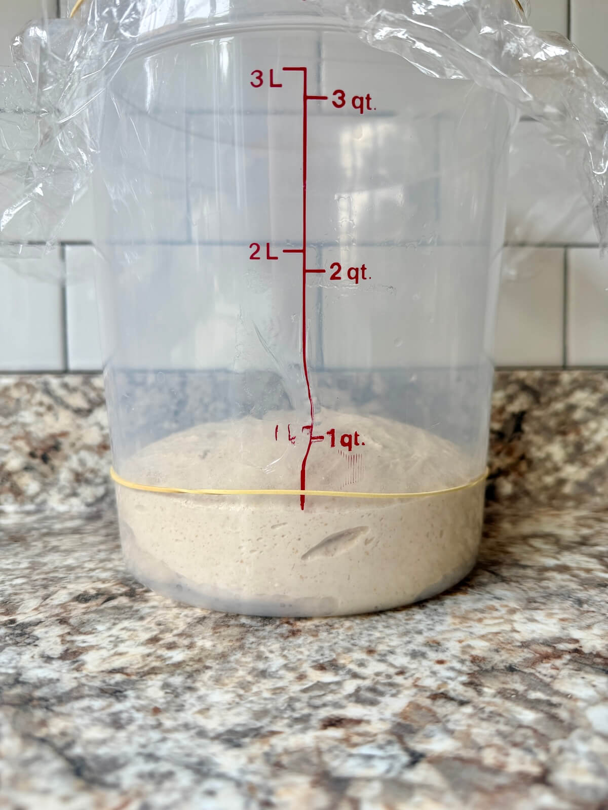 Sourdough bread dough in a straight-sided container before bulk fermentation.