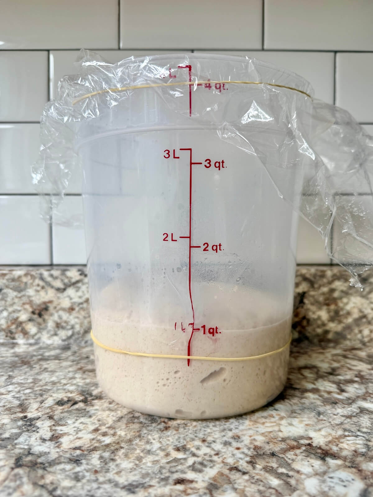 Sourdough bread dough in a straight-sided container after bulk fermentation.