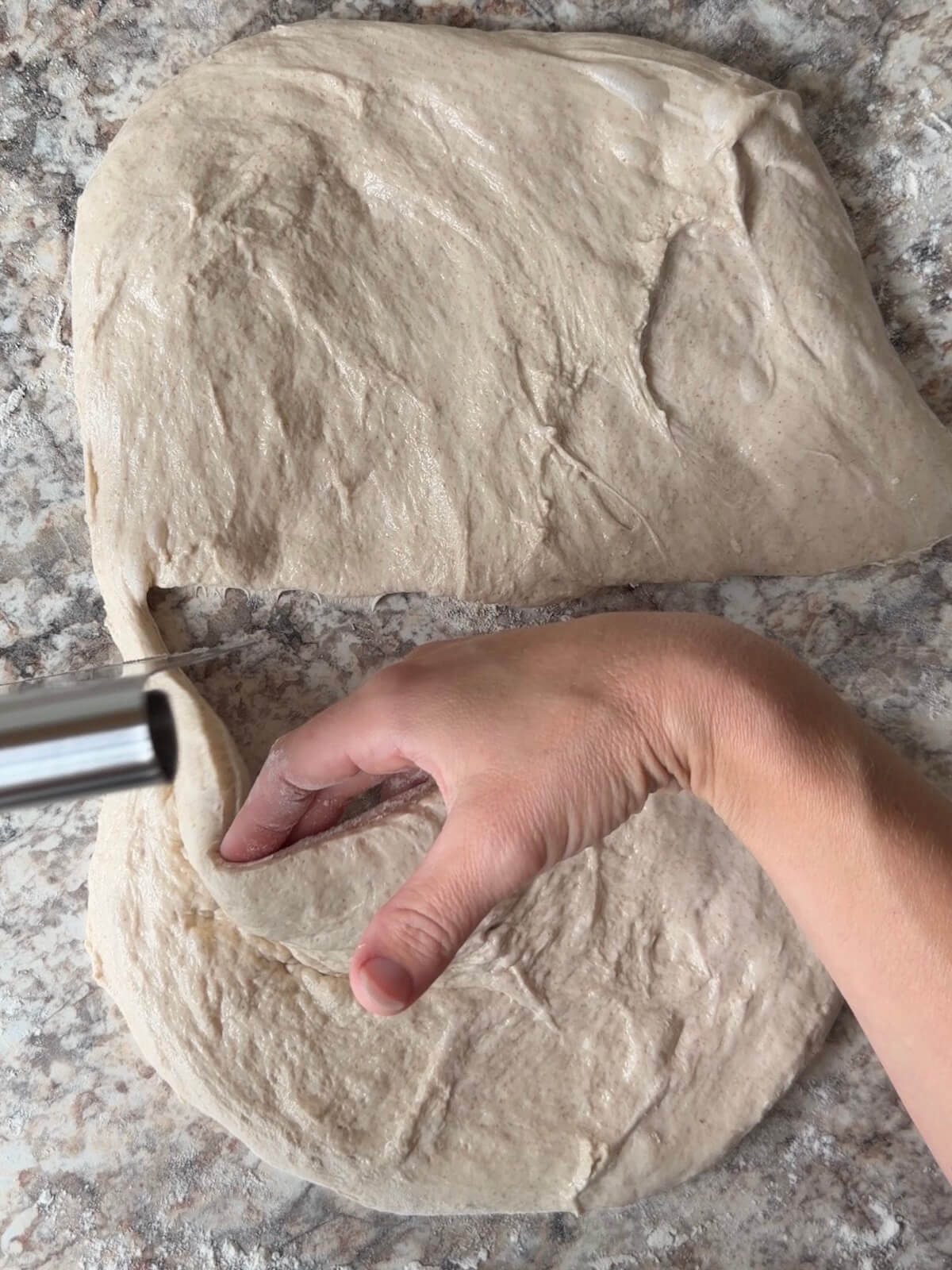 Sourdough bread dough being divided into two pieces on a floured counter.