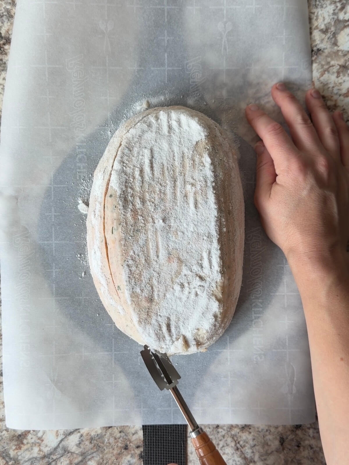 A loaf of buffalo sourdough bread dough being scored on a piece of parchment paper before baking.