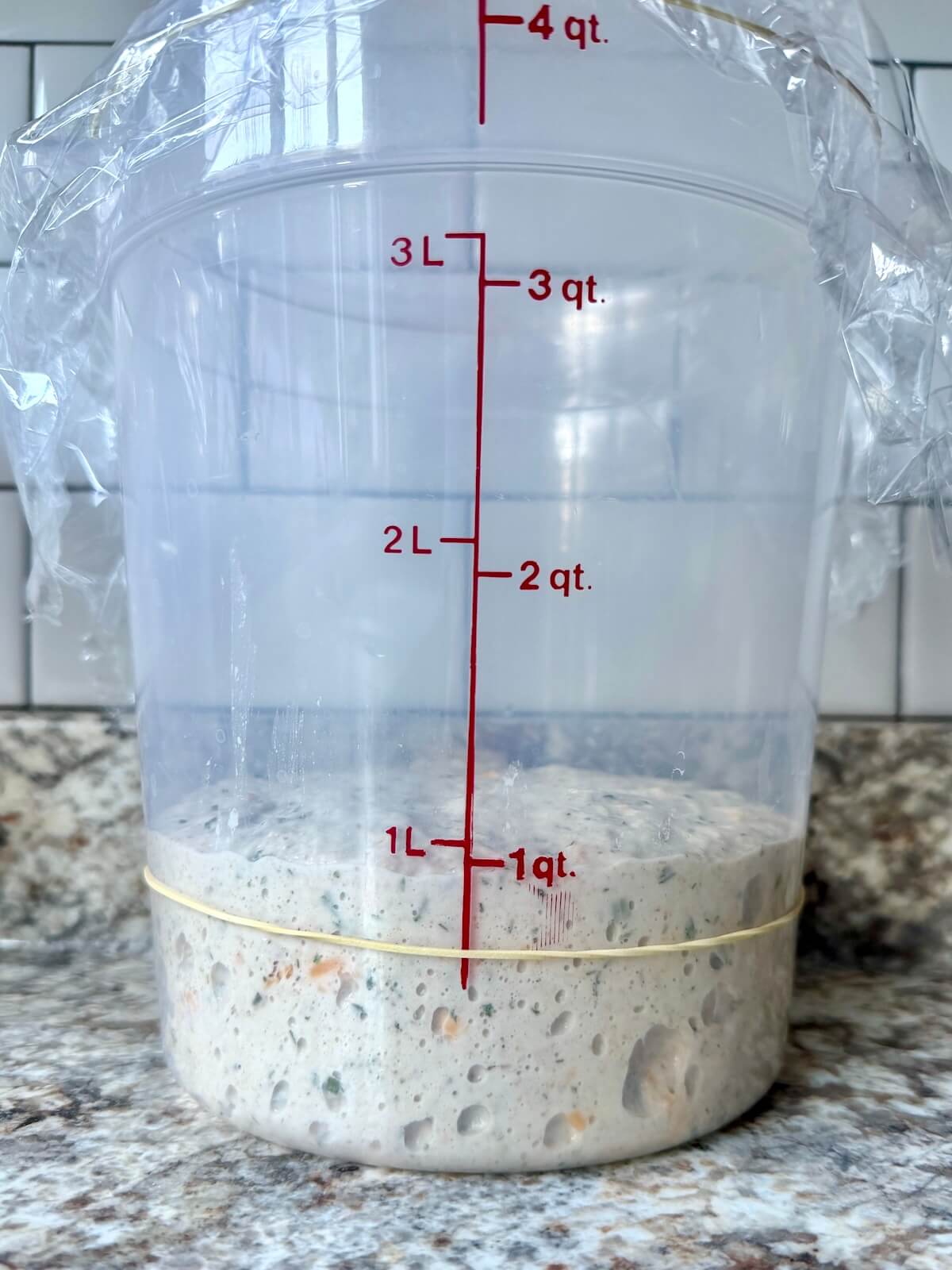 Buffalo chicken sourdough bread dough in a straight-sided container after bulk fermentation.