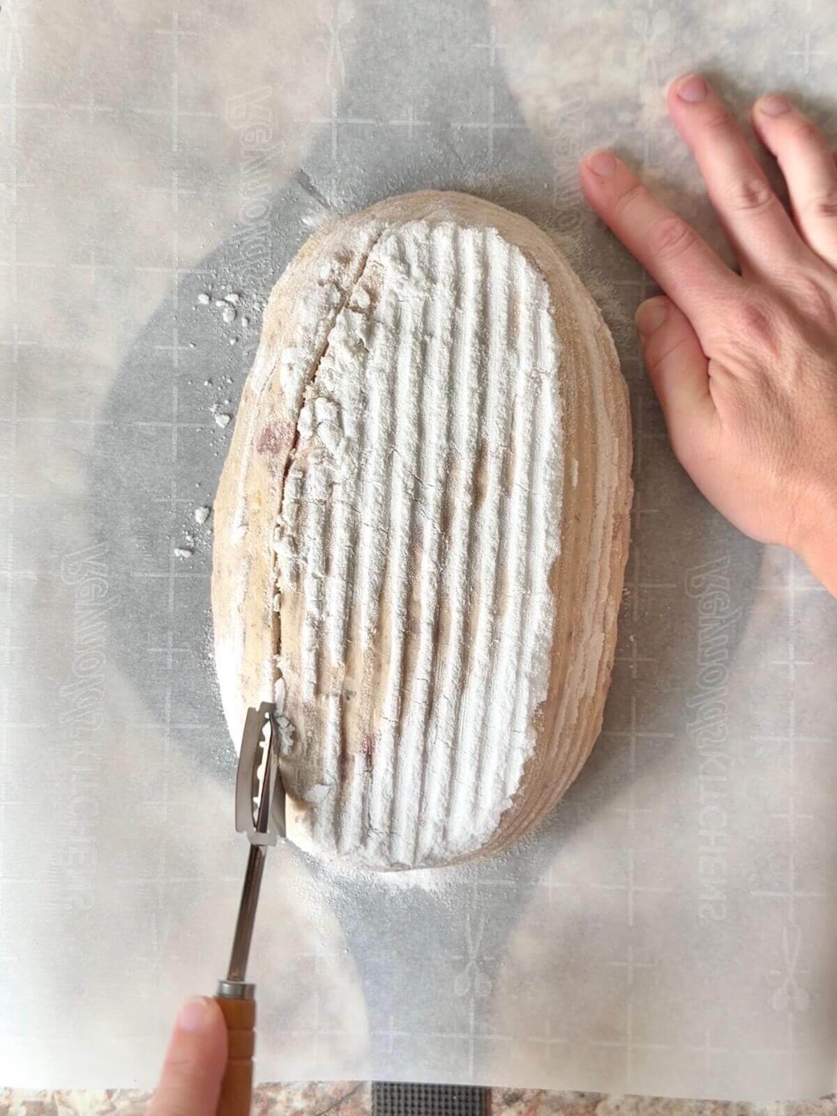 Sourdough pizza bread being scored with a lame on a piece of parchment paper.
