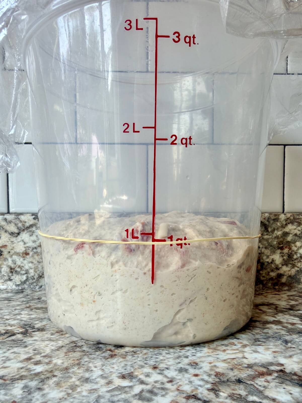 Pepperoni pizza sourdough bread dough in a straight-sided container before bulk fermentation.
