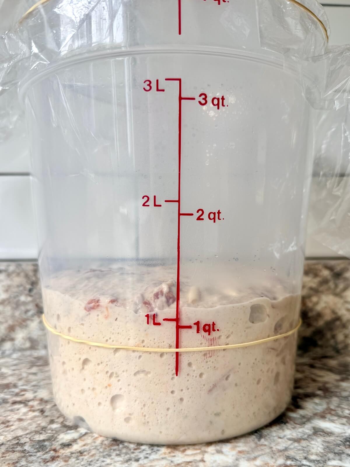 Pepperoni pizza sourdough bread dough in a straight-sided container after bulk fermentation.