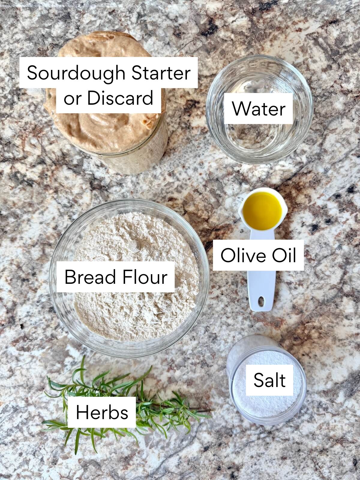 The ingredients to make sourdough discard focaccia bread. Each ingredient is labeled with text. They include sourdough starter, water, bread flour, olive oil, salt, and herbs.