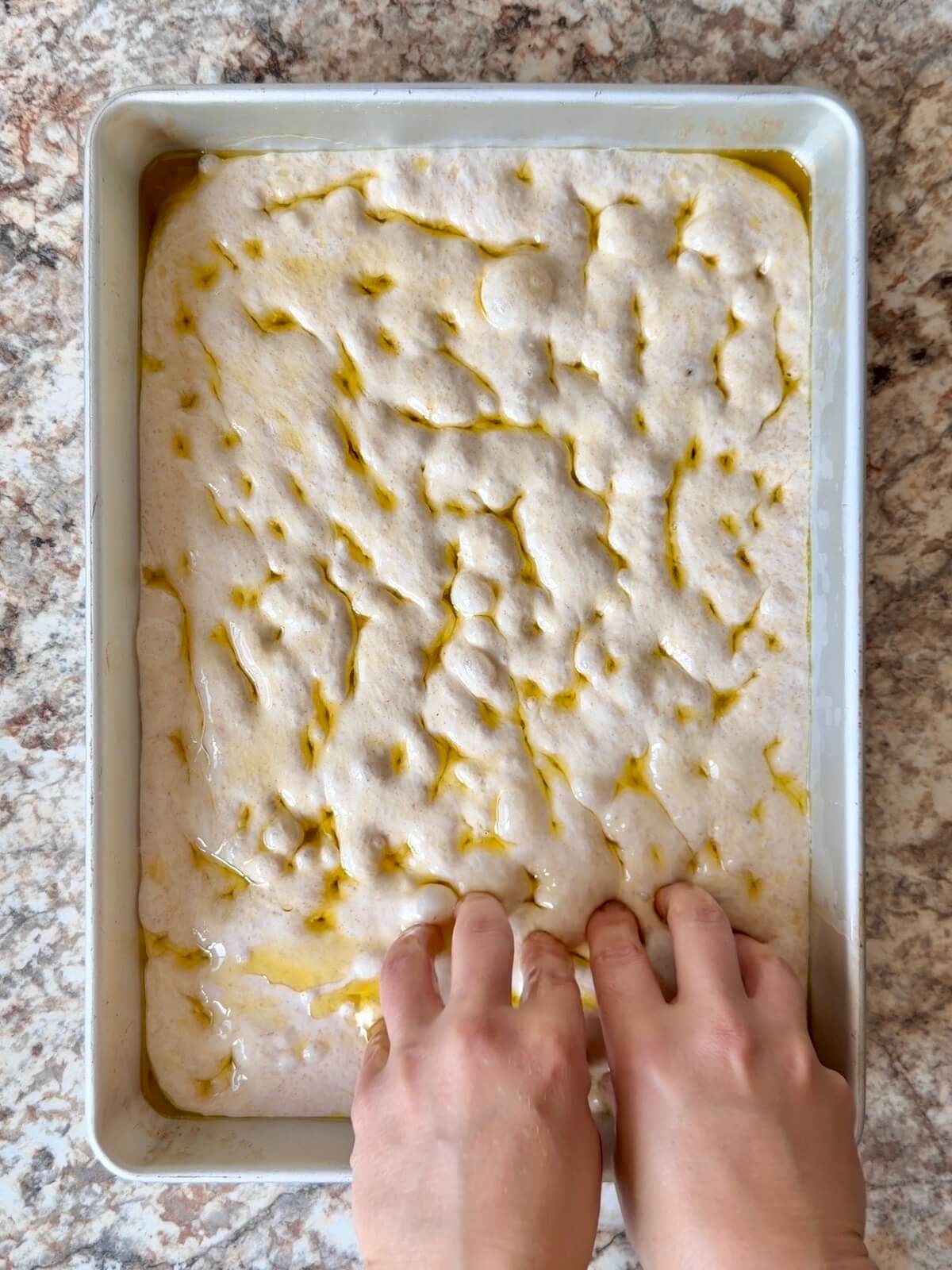Sourdough focaccia dough being dimpled with olive oil.