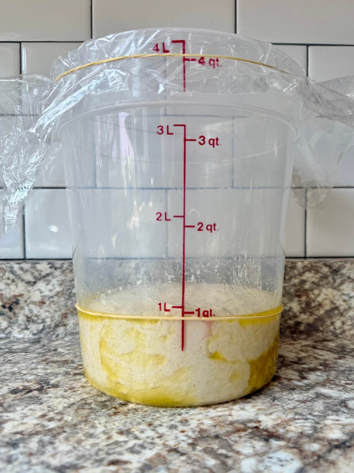 Sourdough discard focaccia dough coated in oil in a straight-sided container before bulk fermentation.