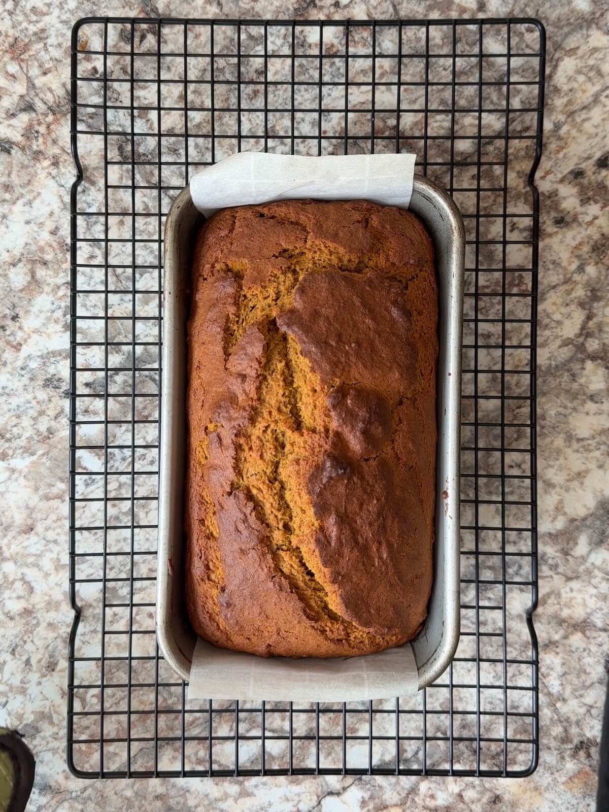 A baked loaf of sourdough discard pumpkin bread in a loaf pan on a wire cooling rack.