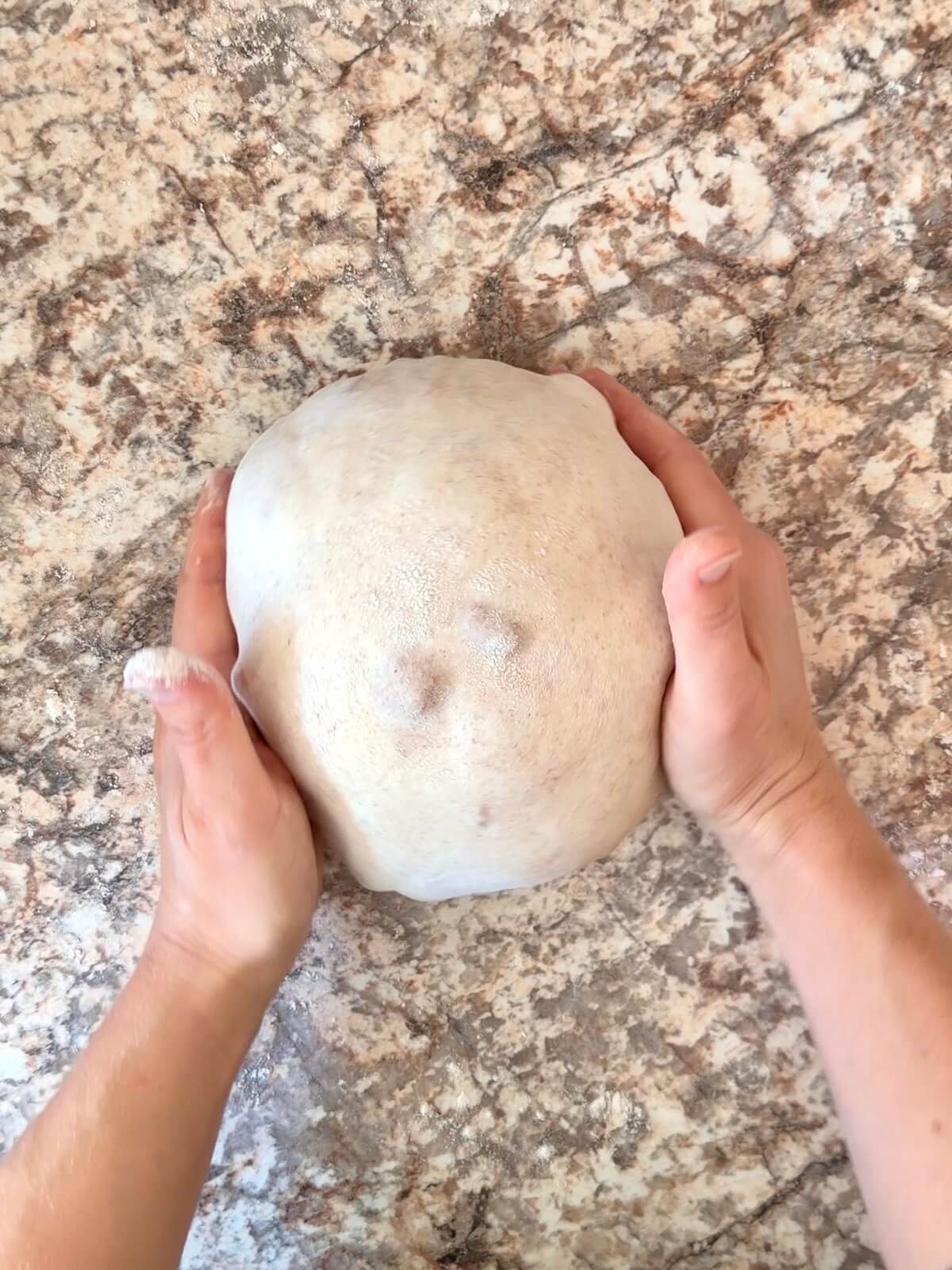 Cinnamon apple sourdough bread dough being shaped on a floured counter.