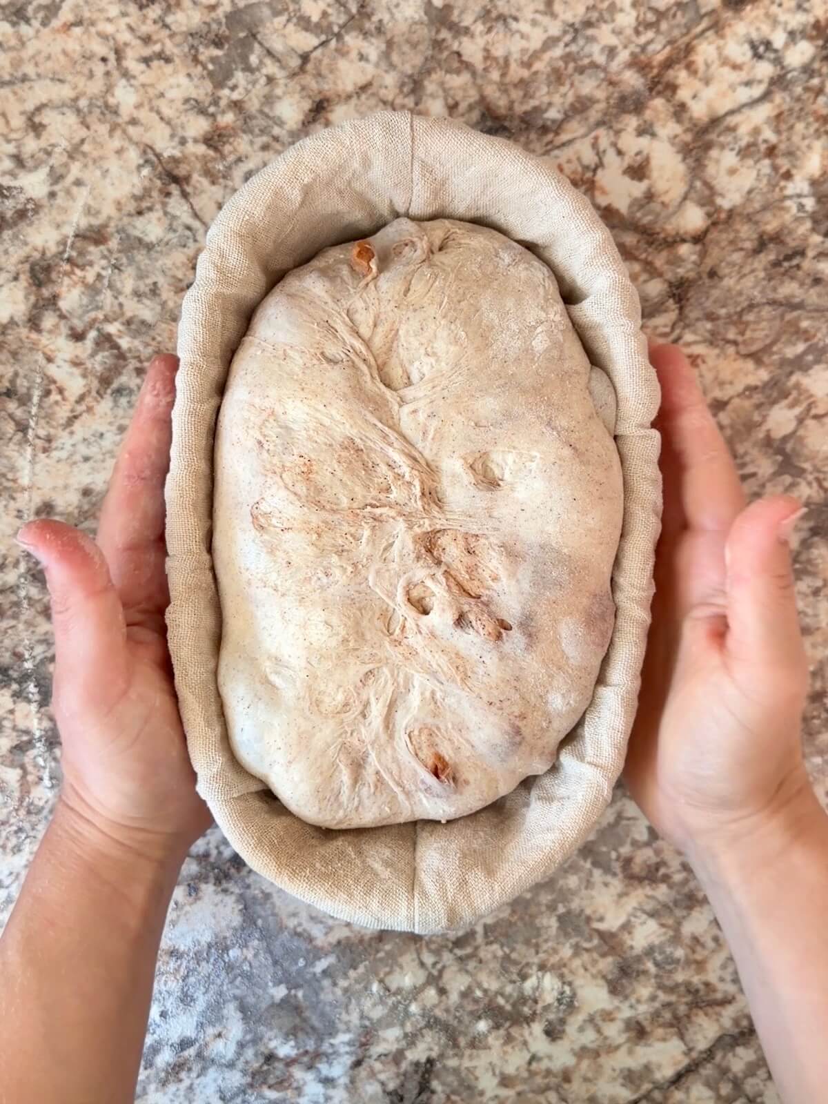 Apple cinnamon sourdough bread dough in an oval proofing basket before proofing.