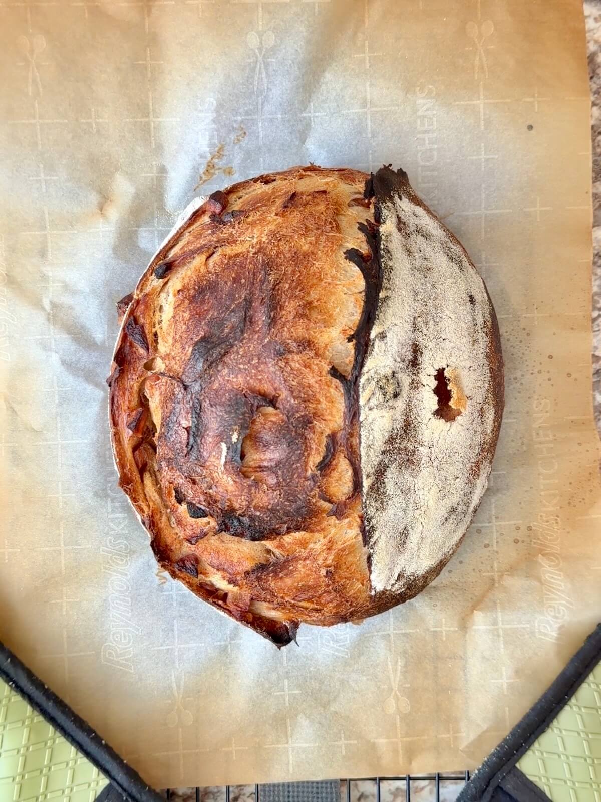 A baked loaf of cinnamon apple sourdough bread dough.