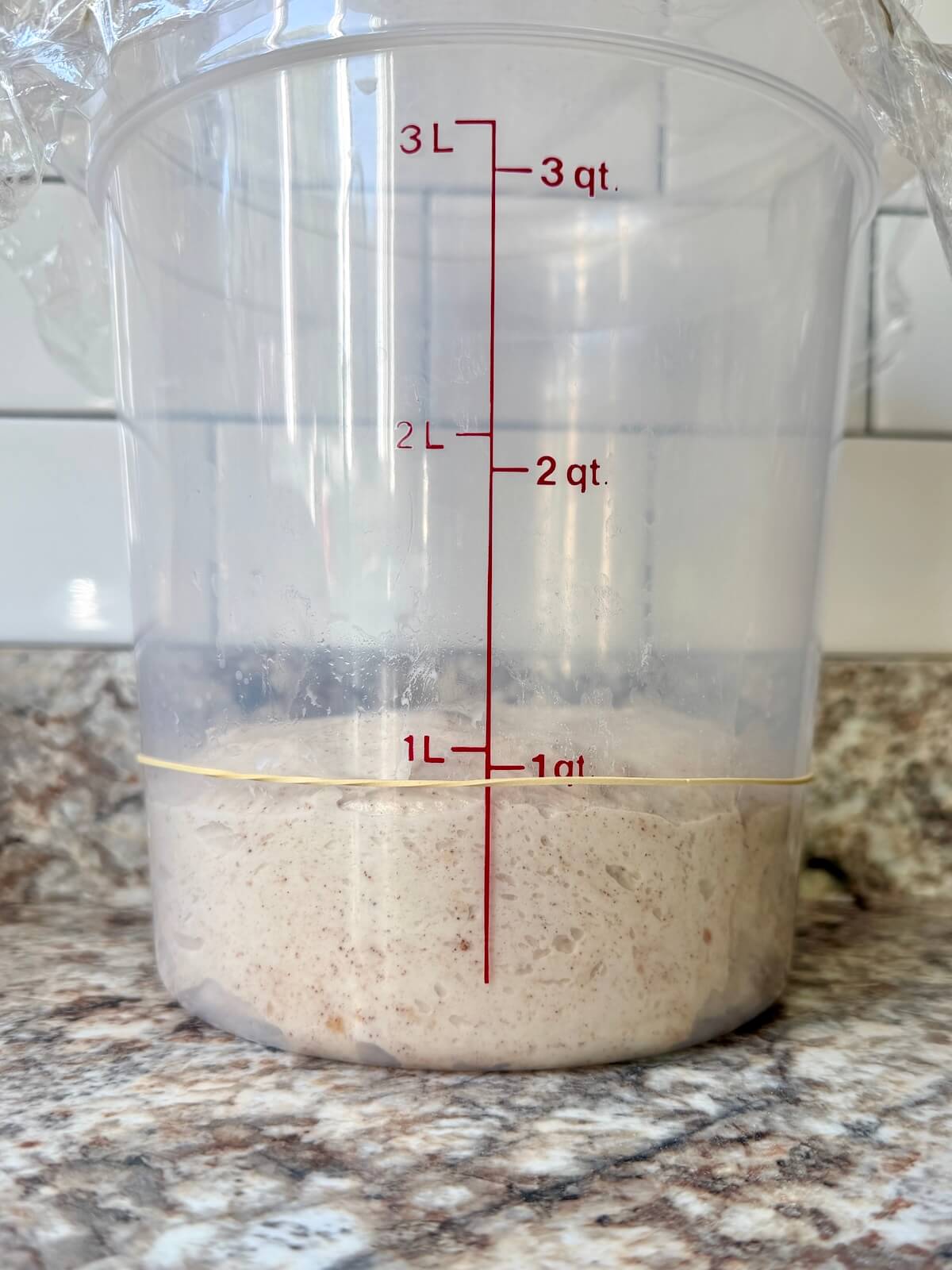 Apple cinnamon sourdough bread dough in a straight-sided container before bulk fermentation.