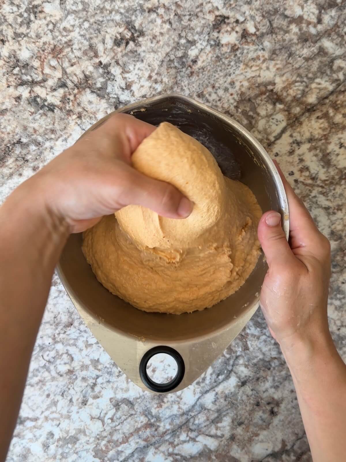 Pumpkin sourdough focaccia dough being stretched and folded in a bowl.