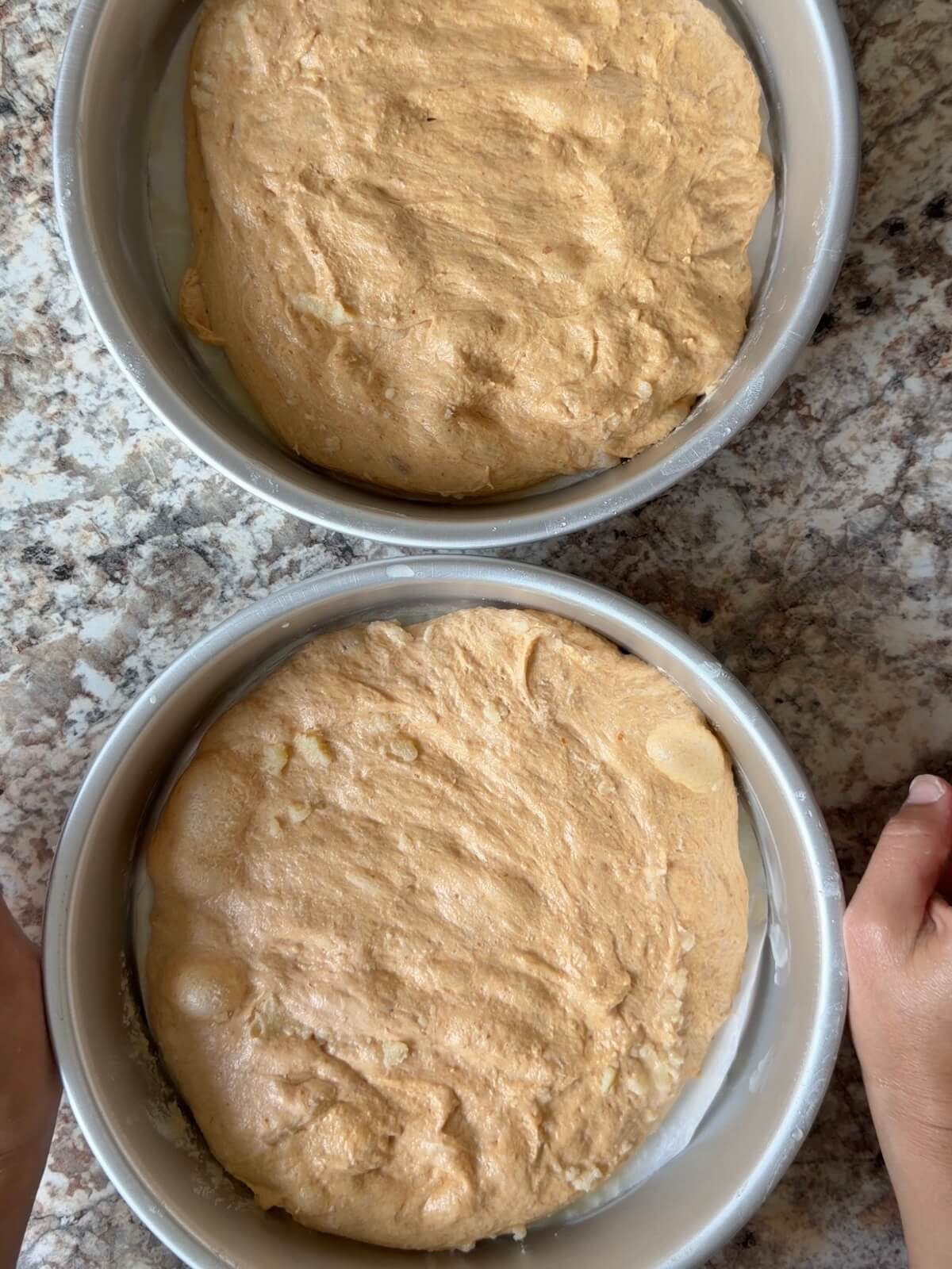 Pumpkin sourdough focaccia dough separated into two 9-inch round pans.